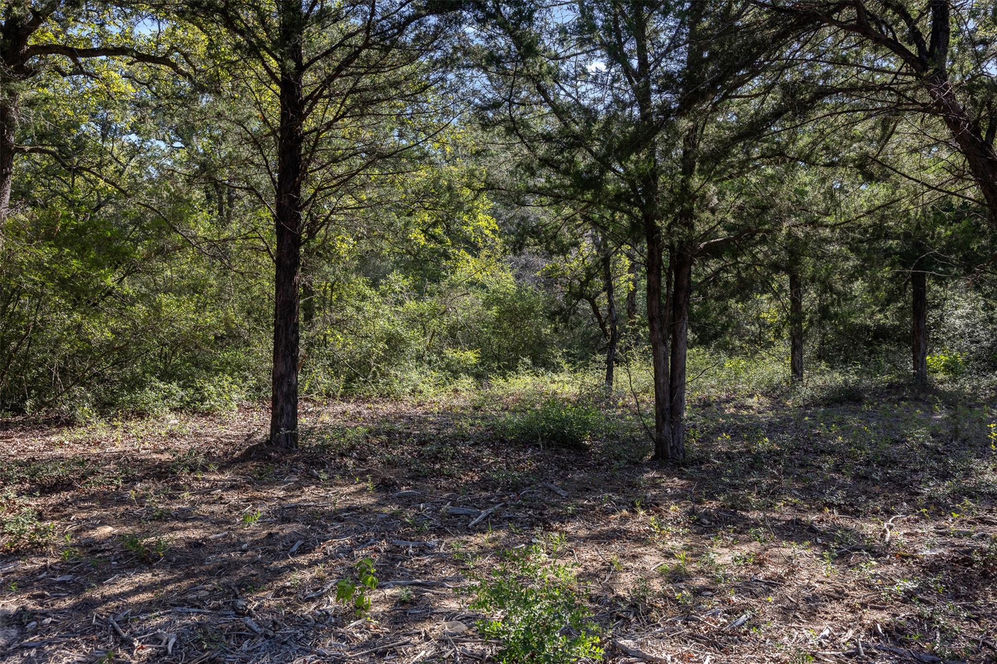 180 Autumn Oak Ct CT
