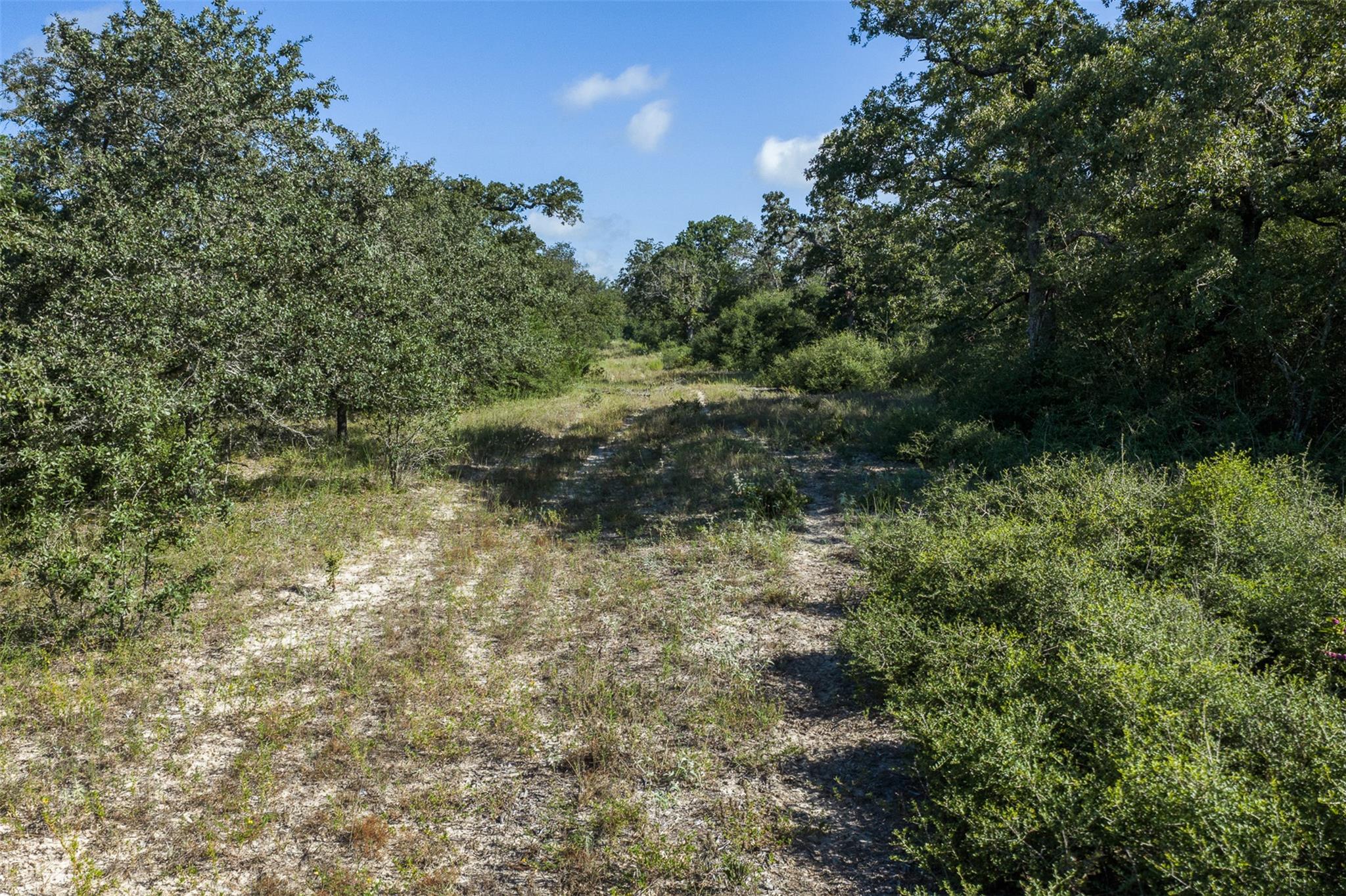 180 Autumn Oak Ct CT