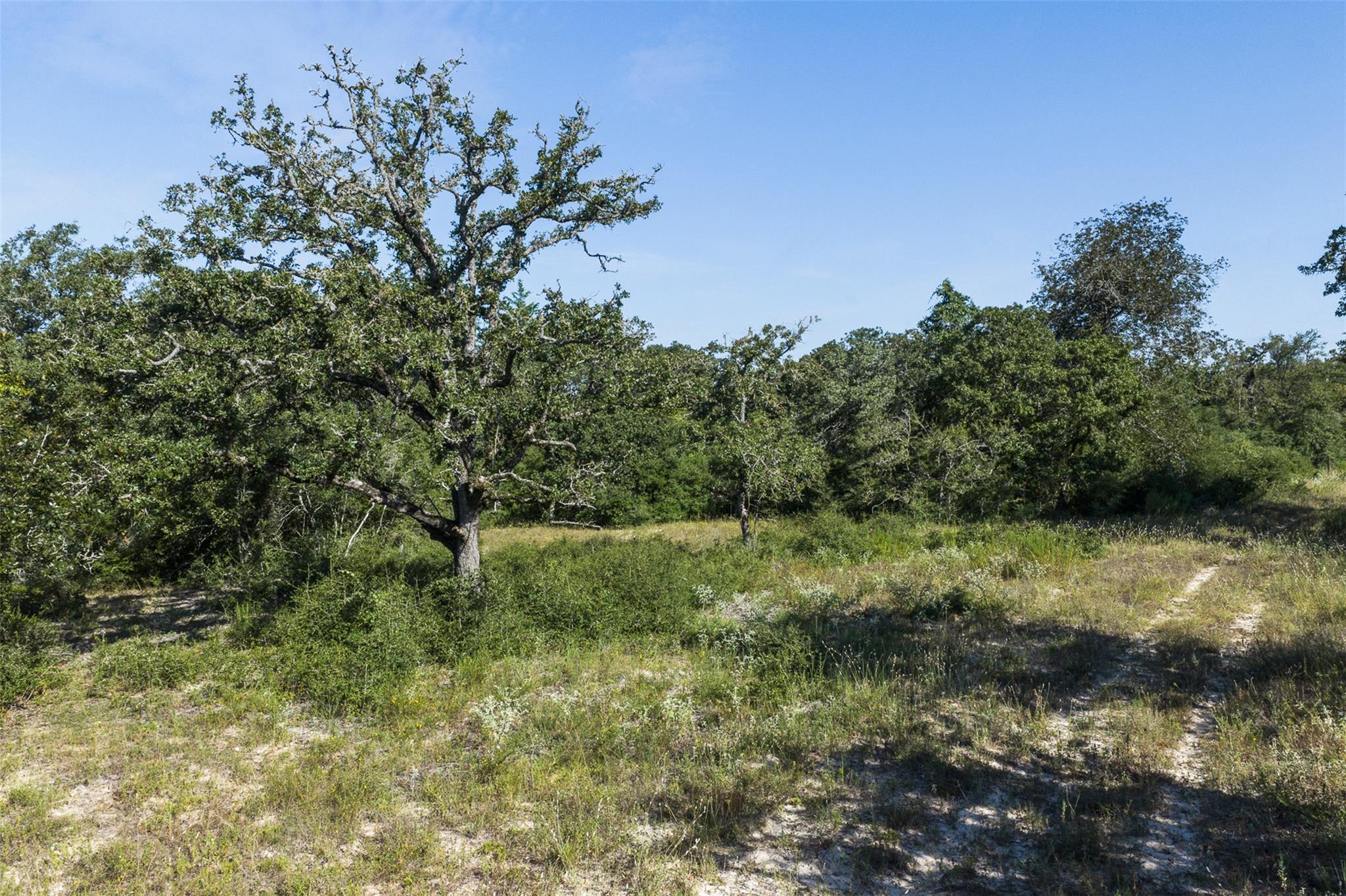 180 Autumn Oak Ct CT