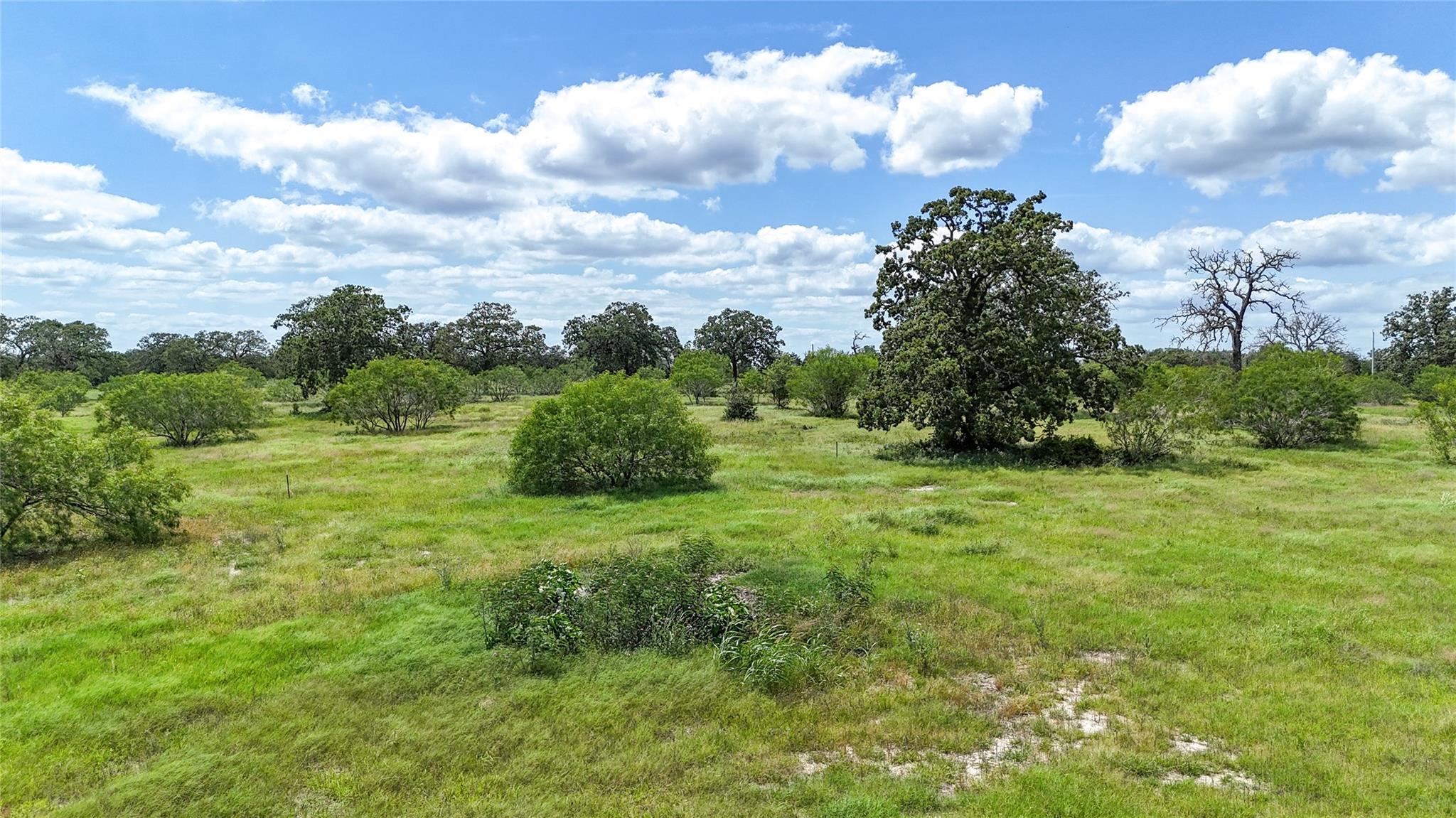 Lot 9 Zack LN