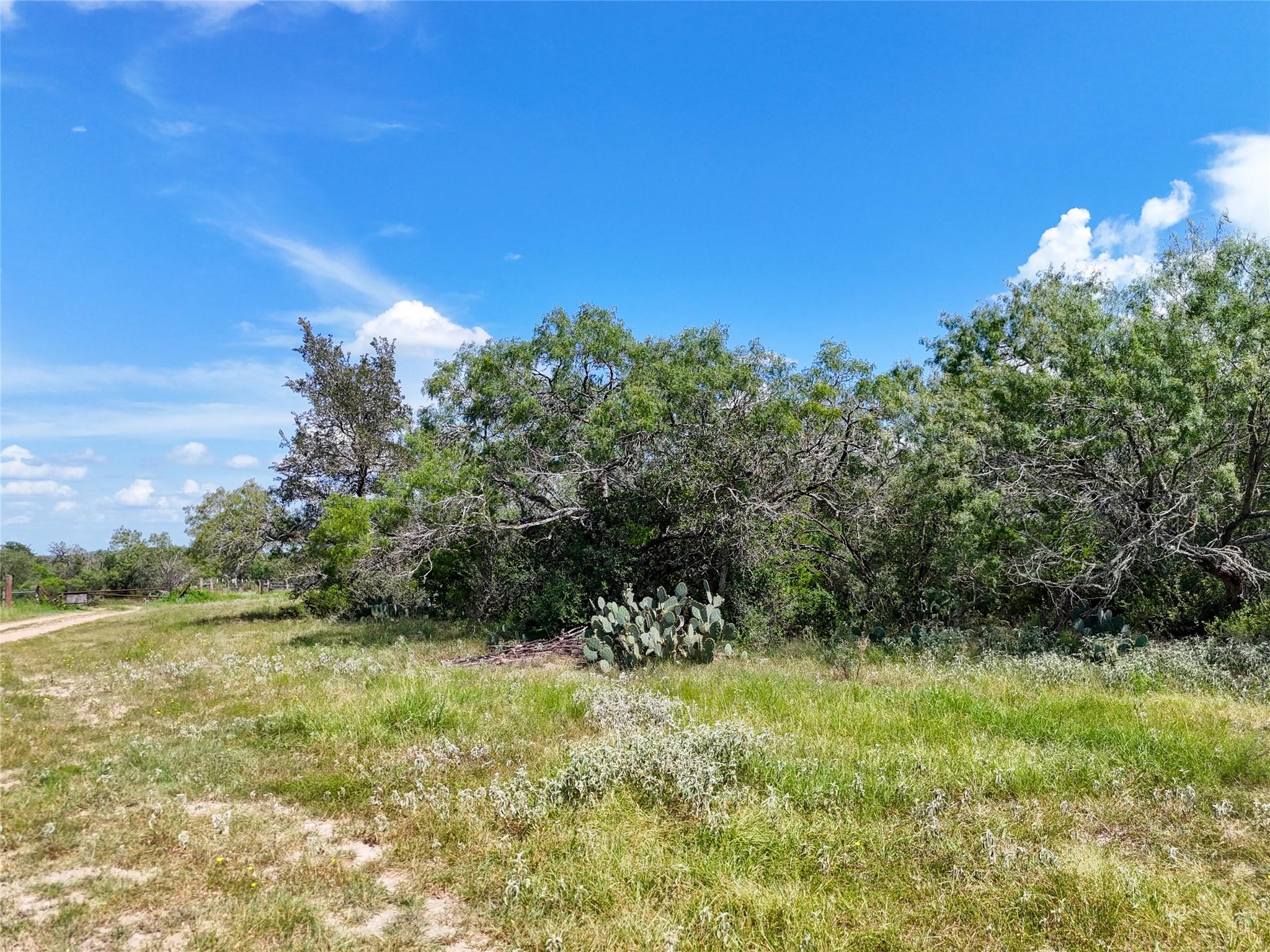 Lot 1 County Road 211