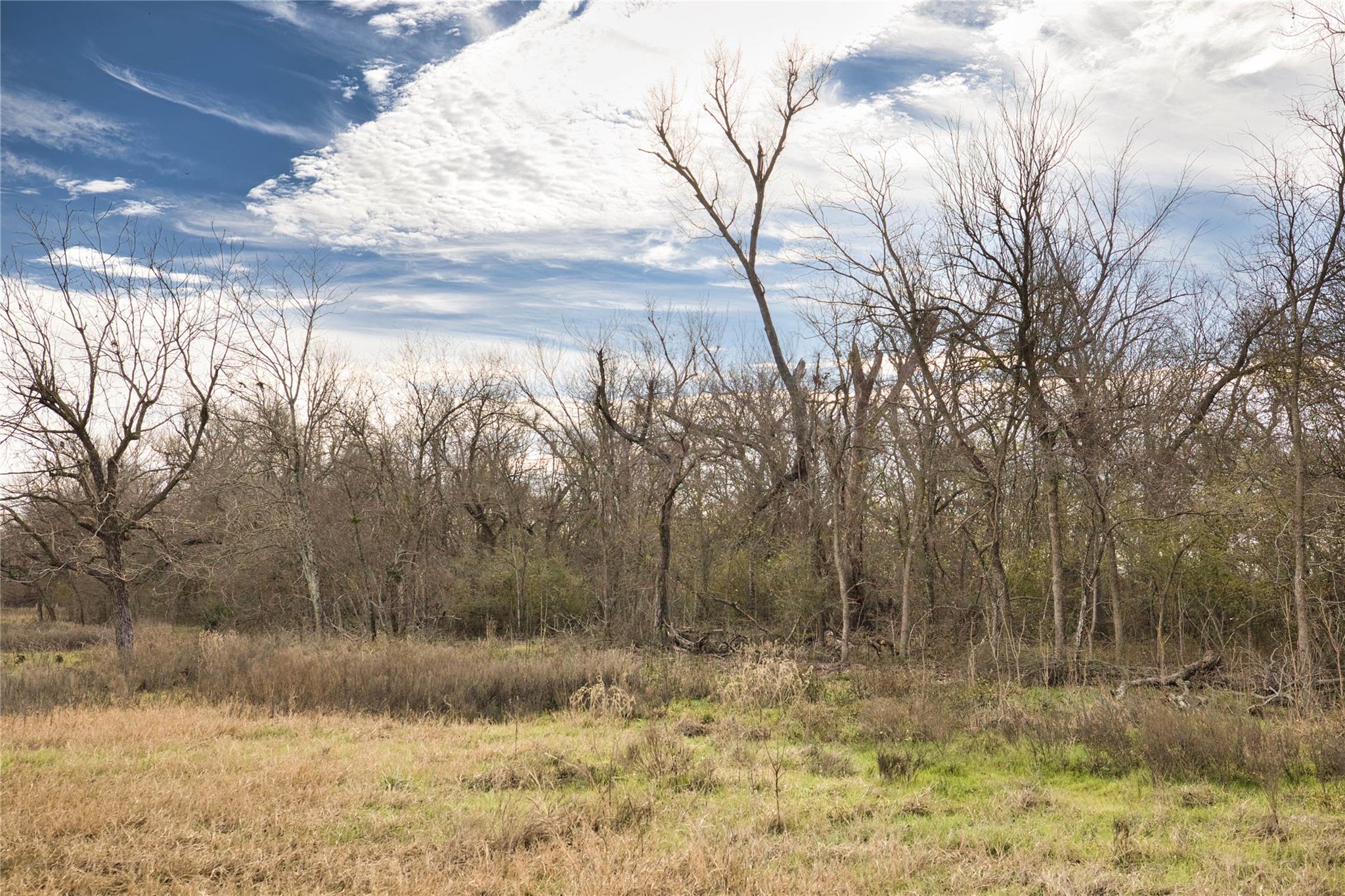 350 County Road 319