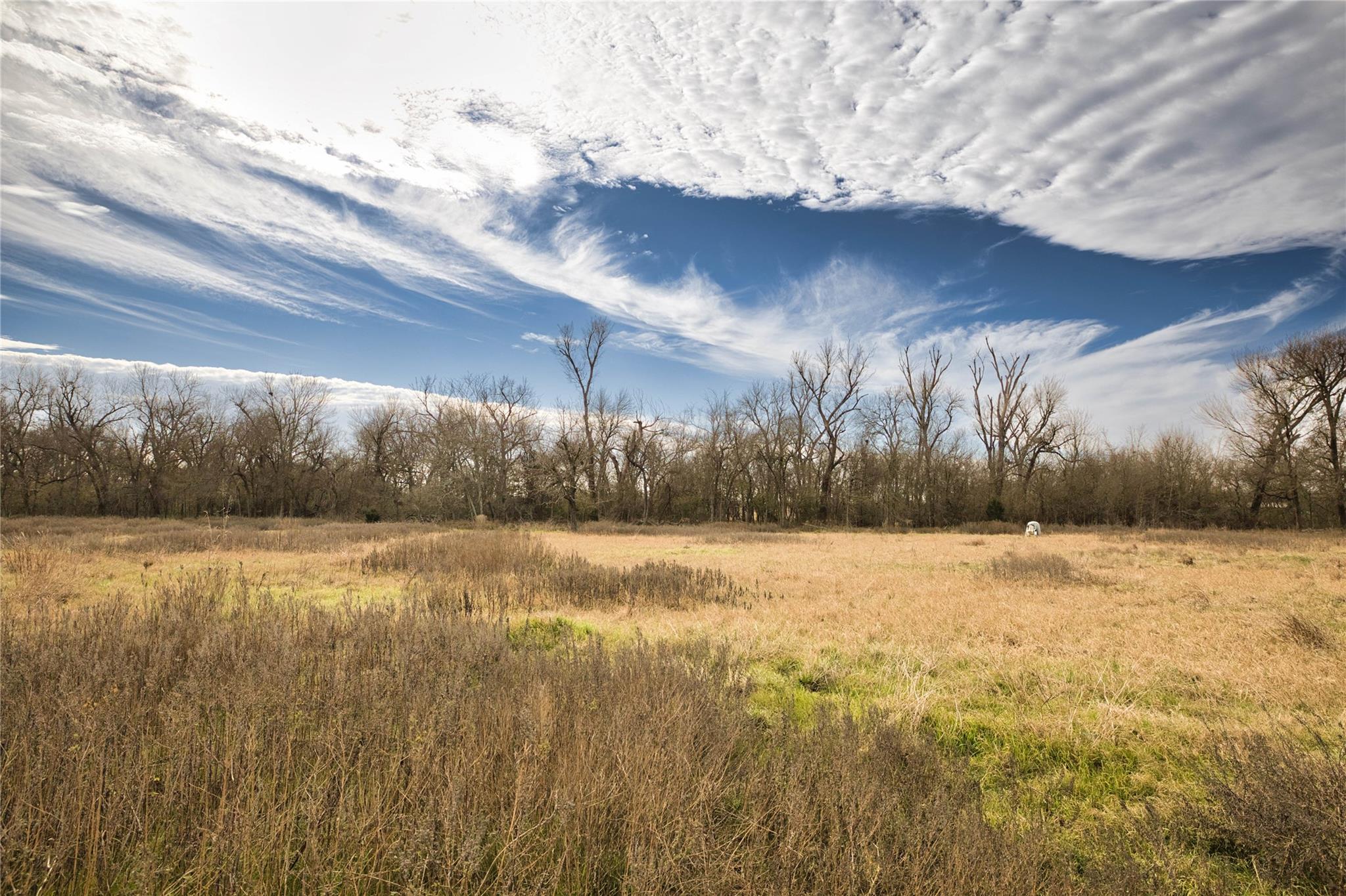 350 County Road 319