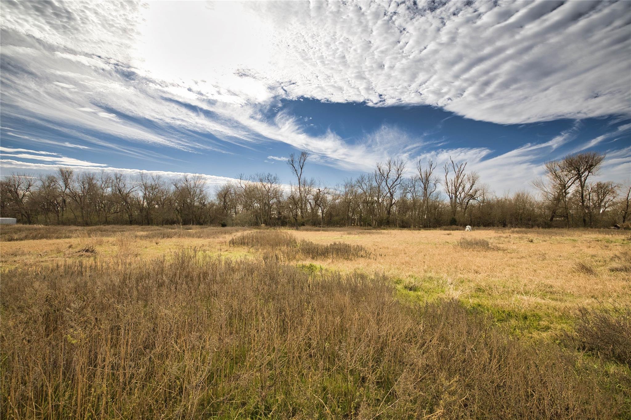 350 County Road 319