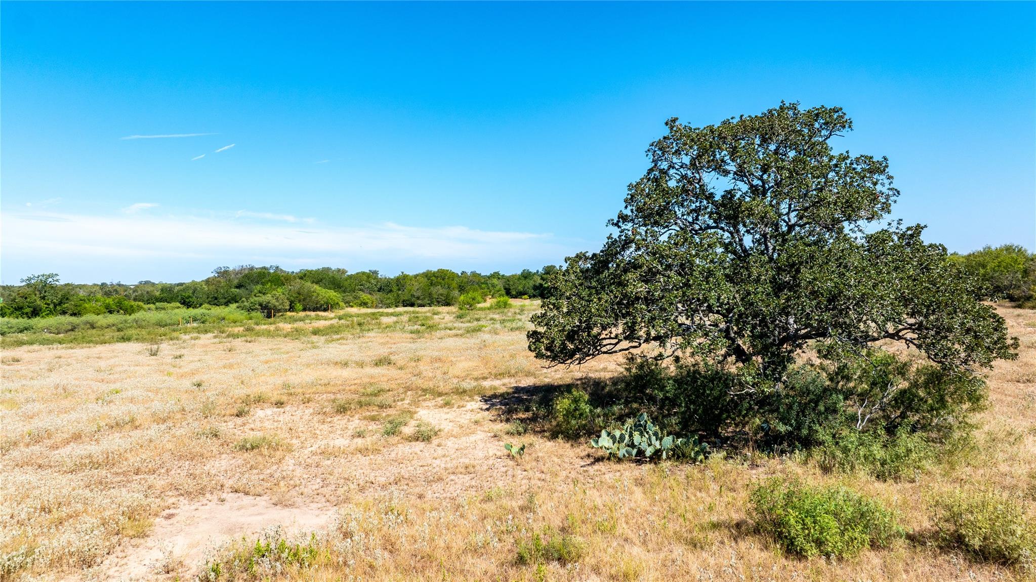 LOT 3C Tumbleweed TRL