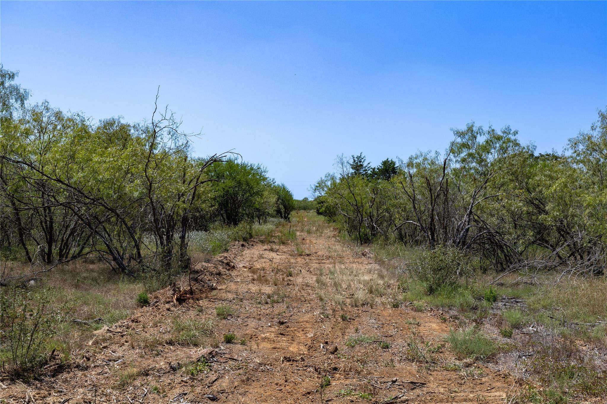 226 Tumbleweed TRL