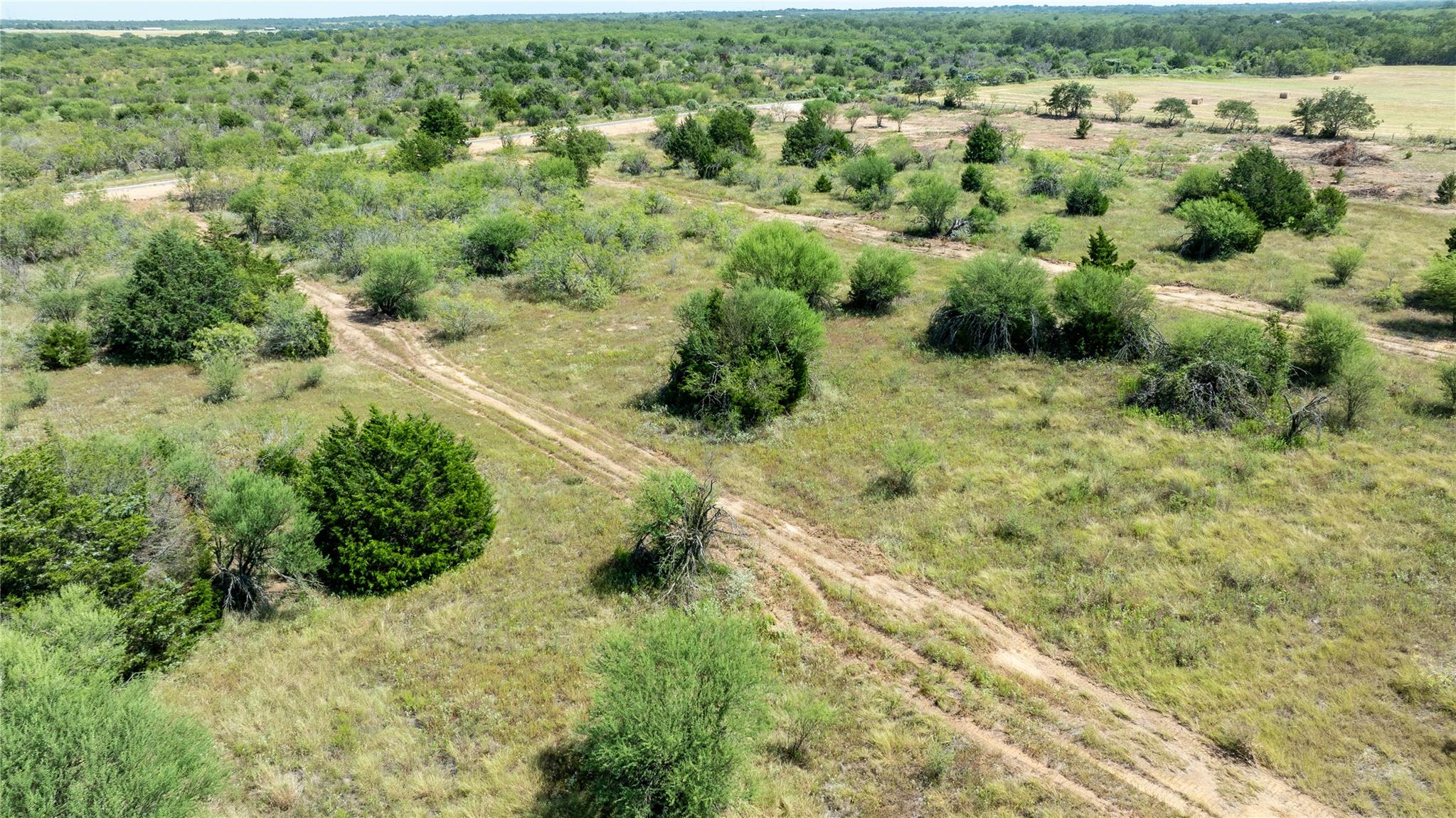 226 Tumbleweed TRL