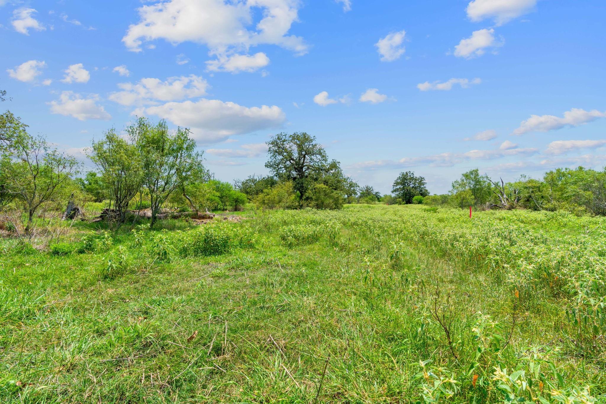 Lot 22 County Road 402