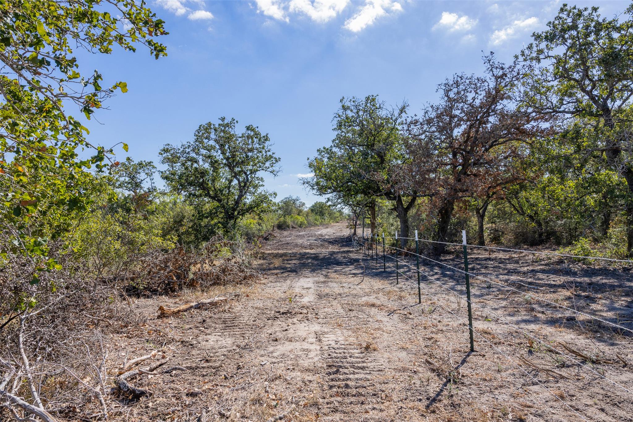 Lot 6 County Road 211