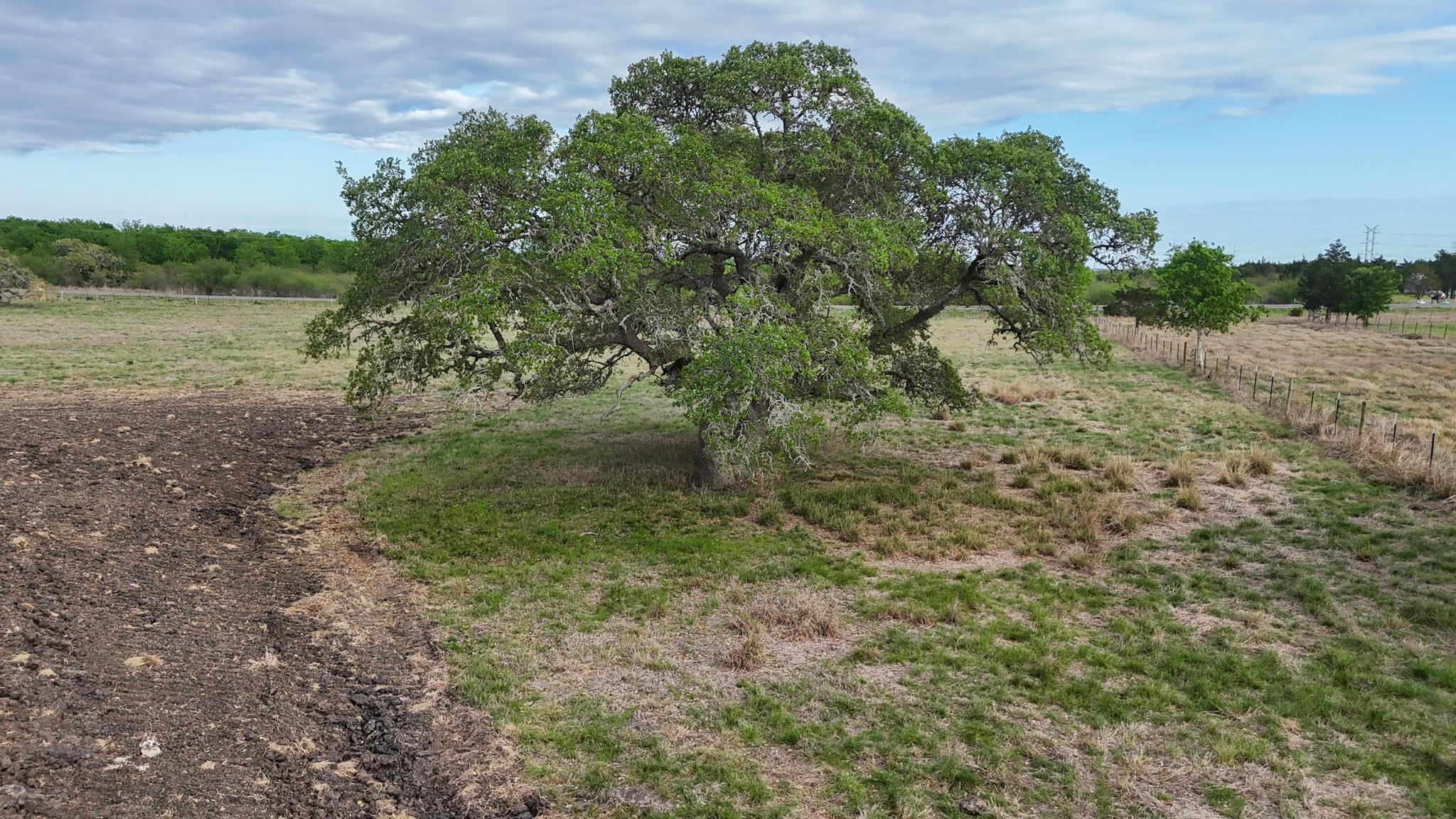 2077 East State Hwy 237