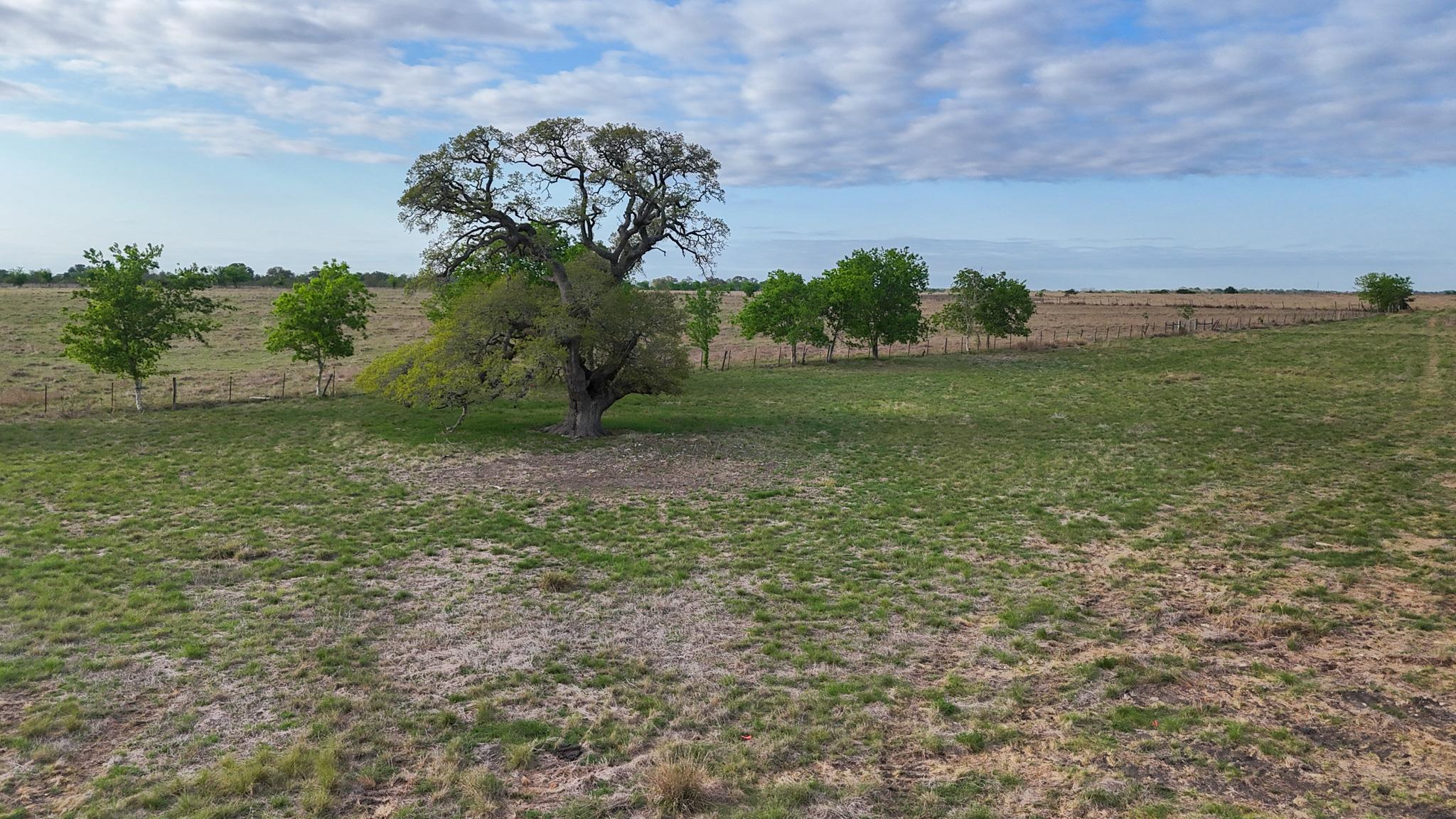 2077 East State Hwy 237