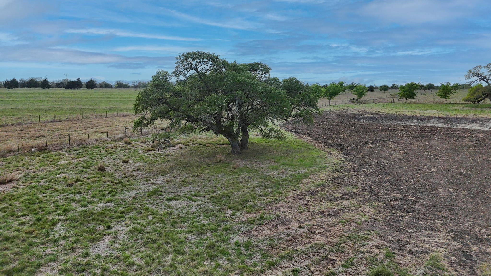 2077 East State Hwy 237