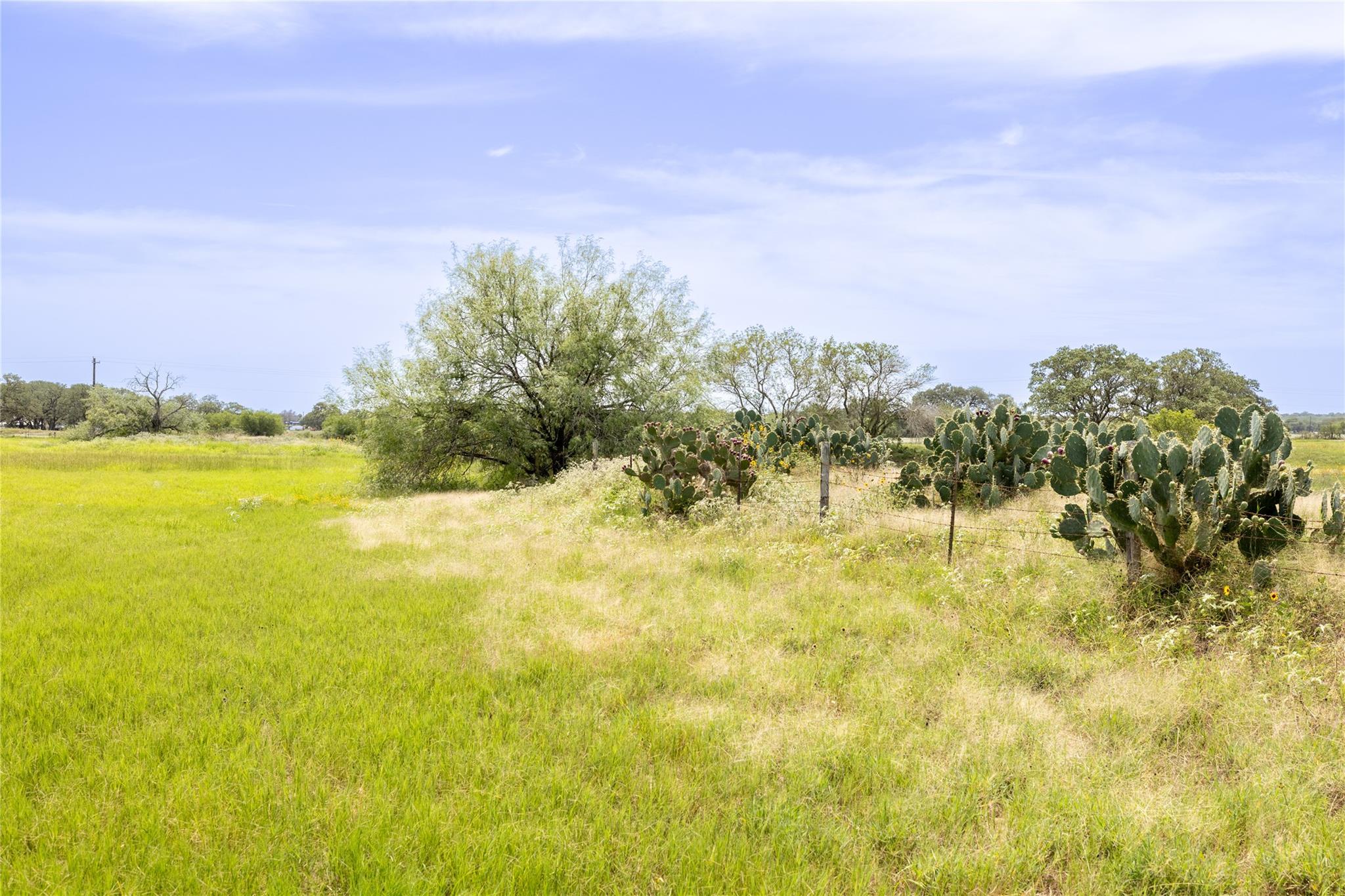 2961 County Road 342