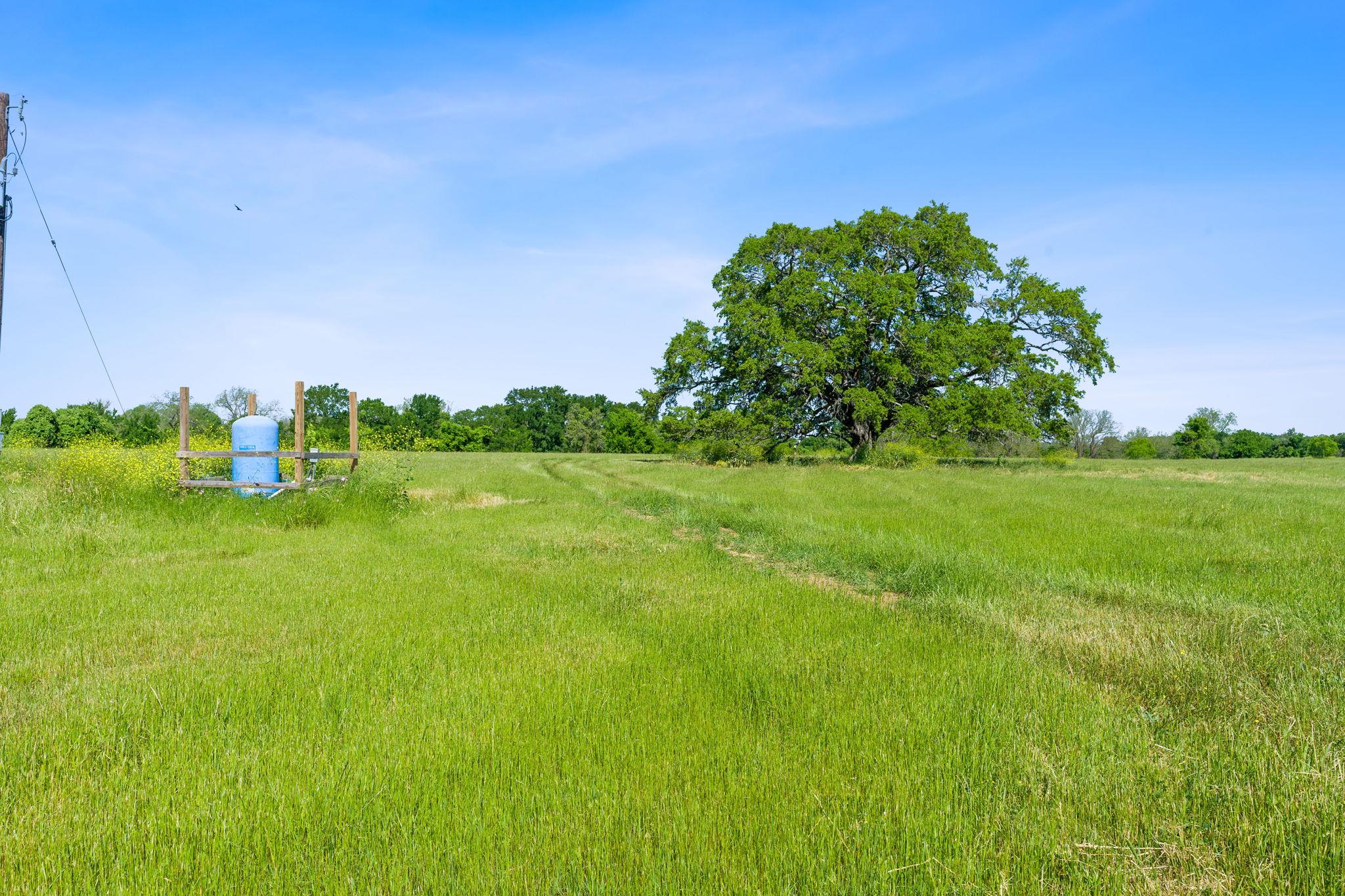 663 SH 230 Loop, Smithville