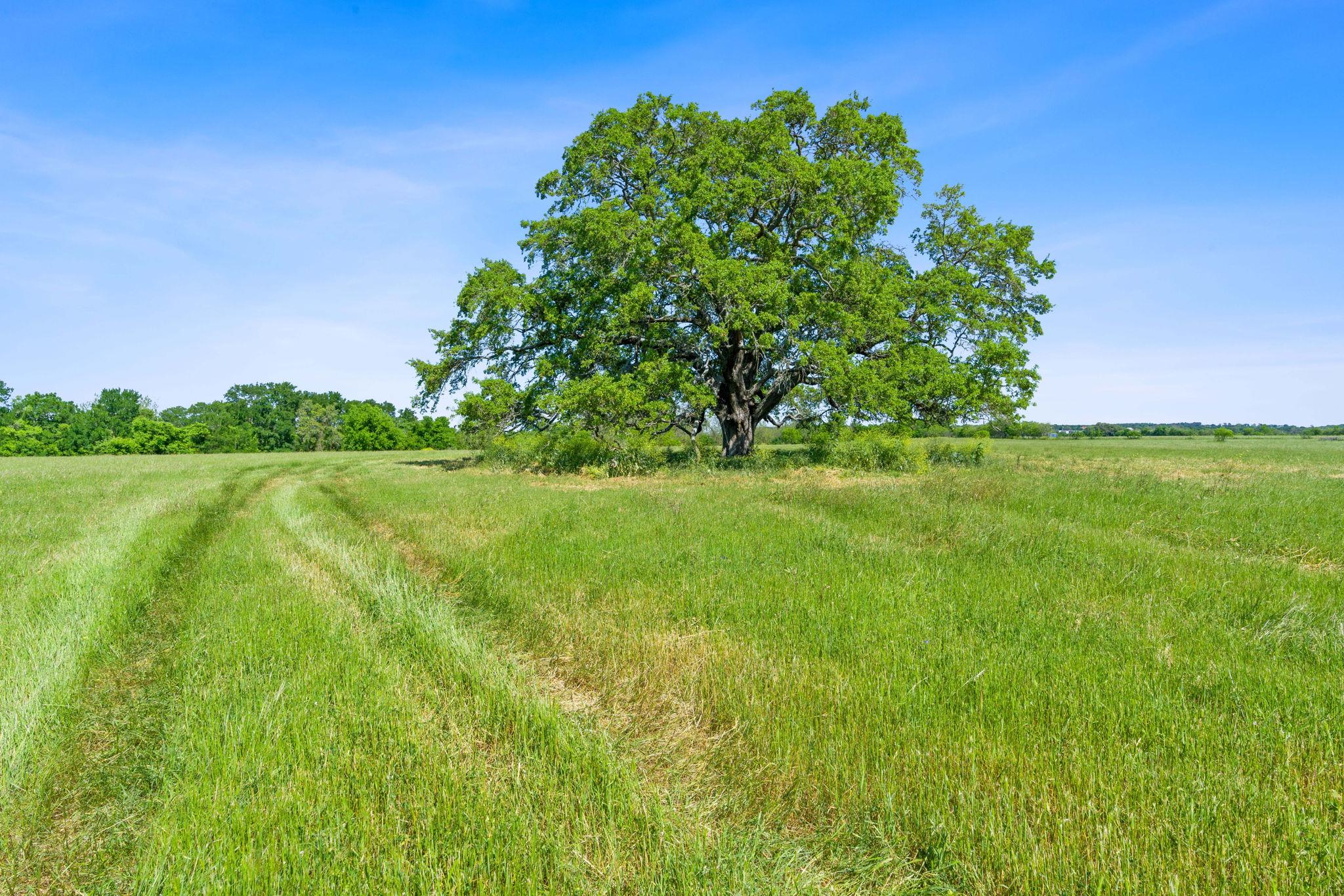 663 SH 230 Loop, Smithville