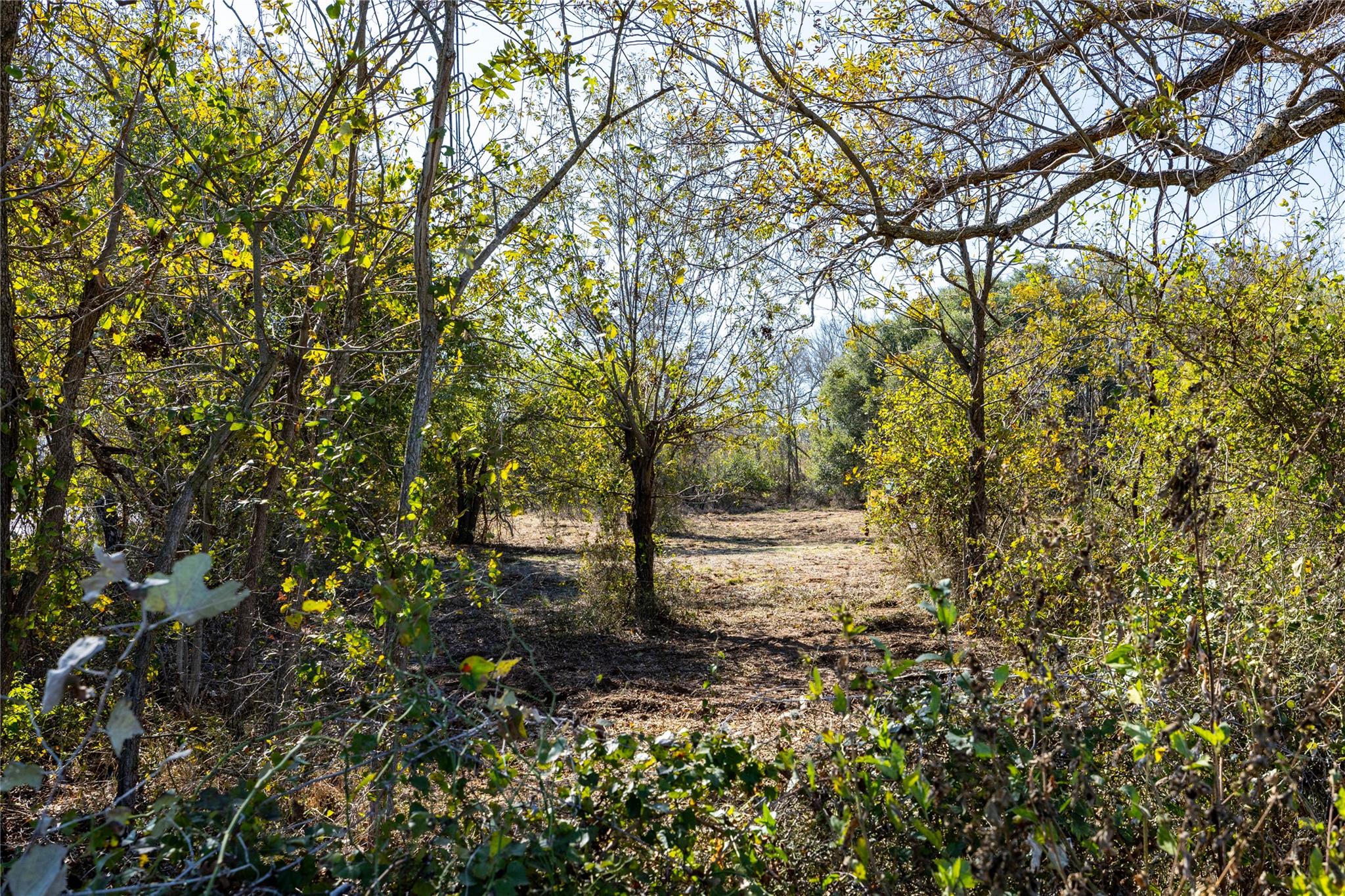 6635 S US HIGHWAY 183