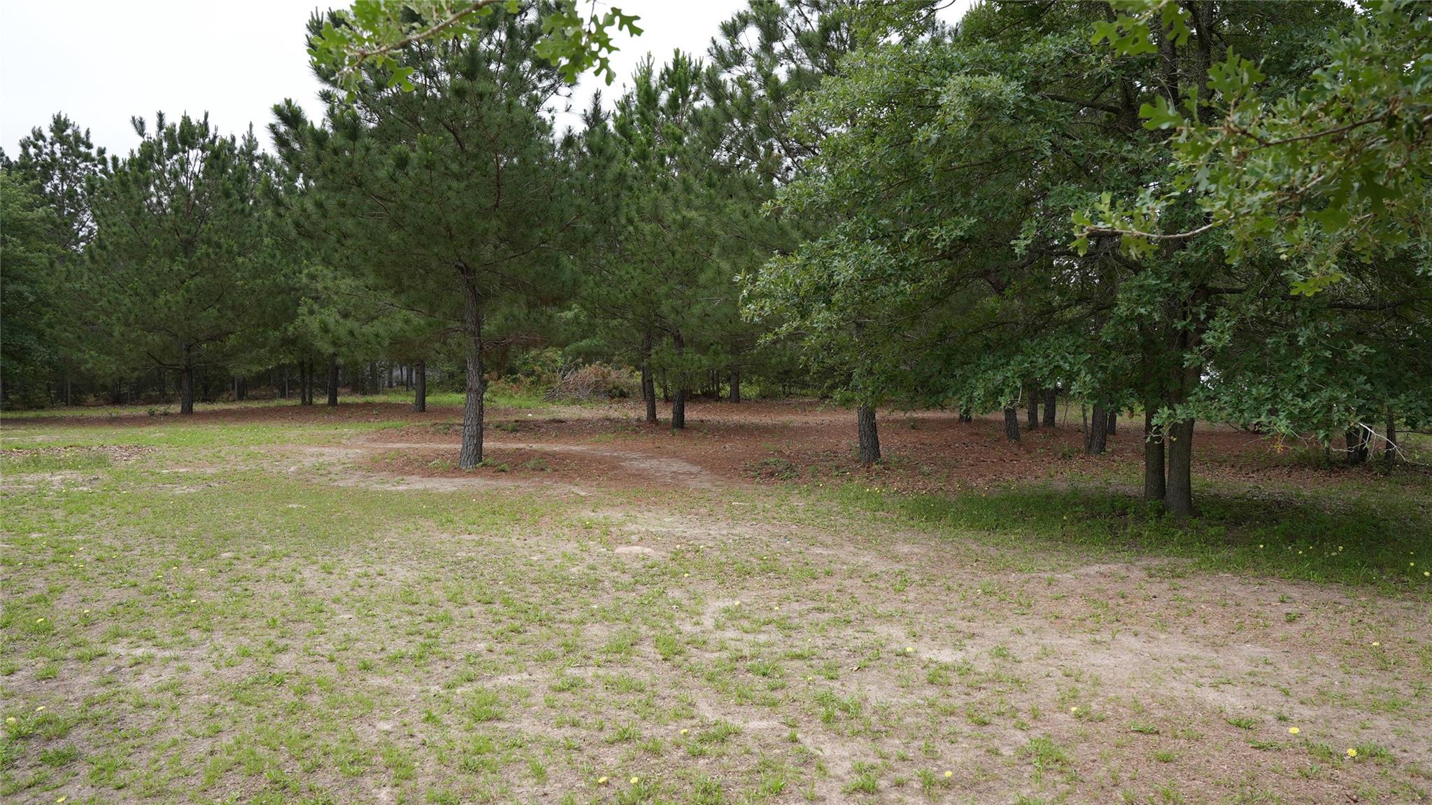 TBD Buckhorn DR