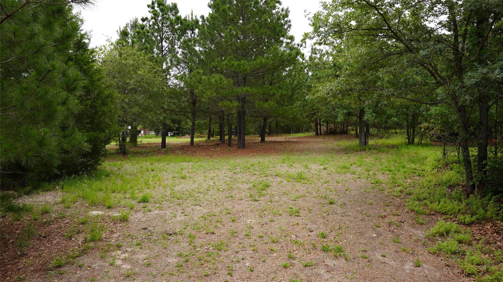 TBD Buckhorn DR
