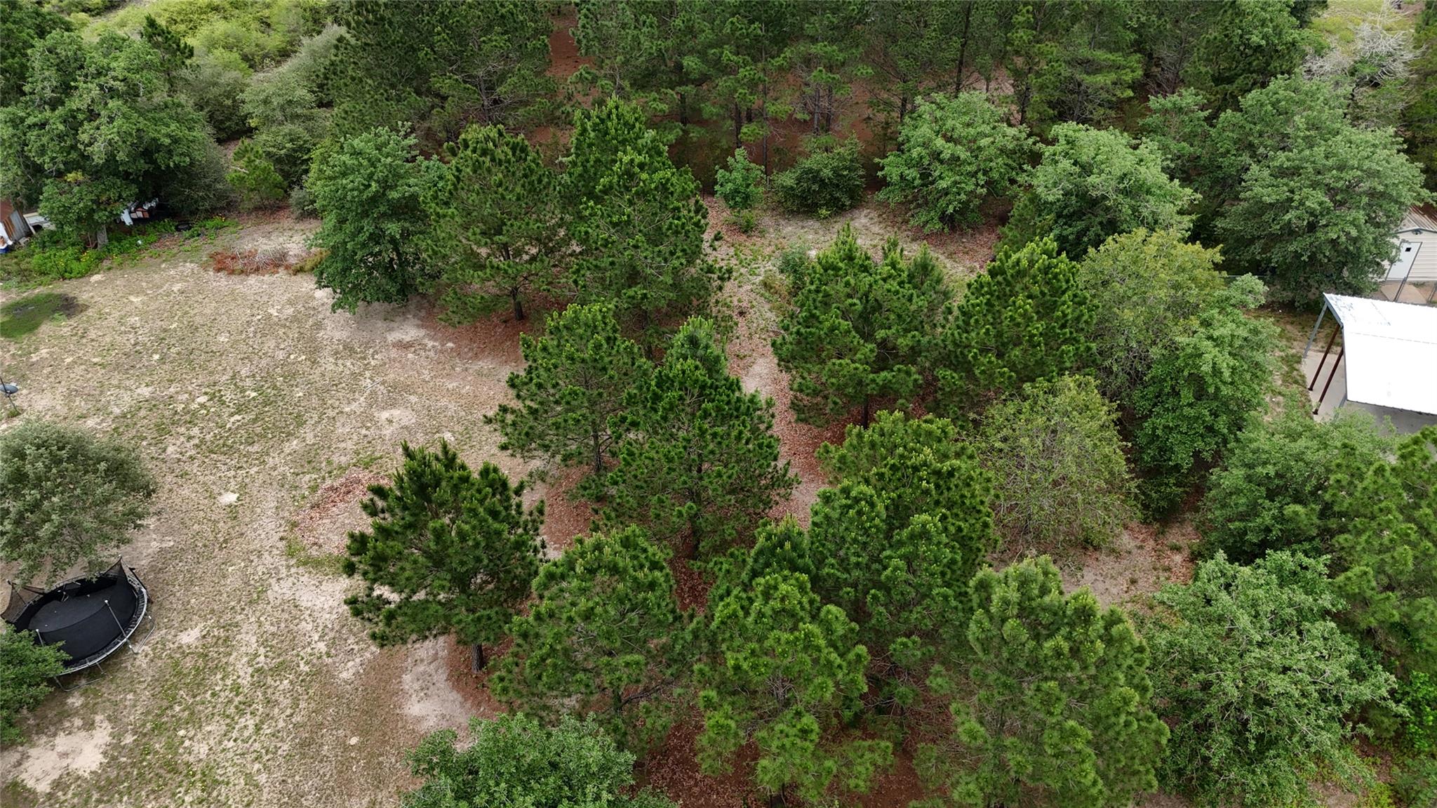 TBD Buckhorn DR