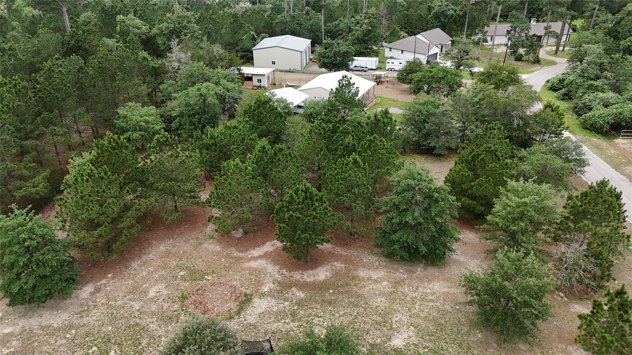 TBD Buckhorn DR