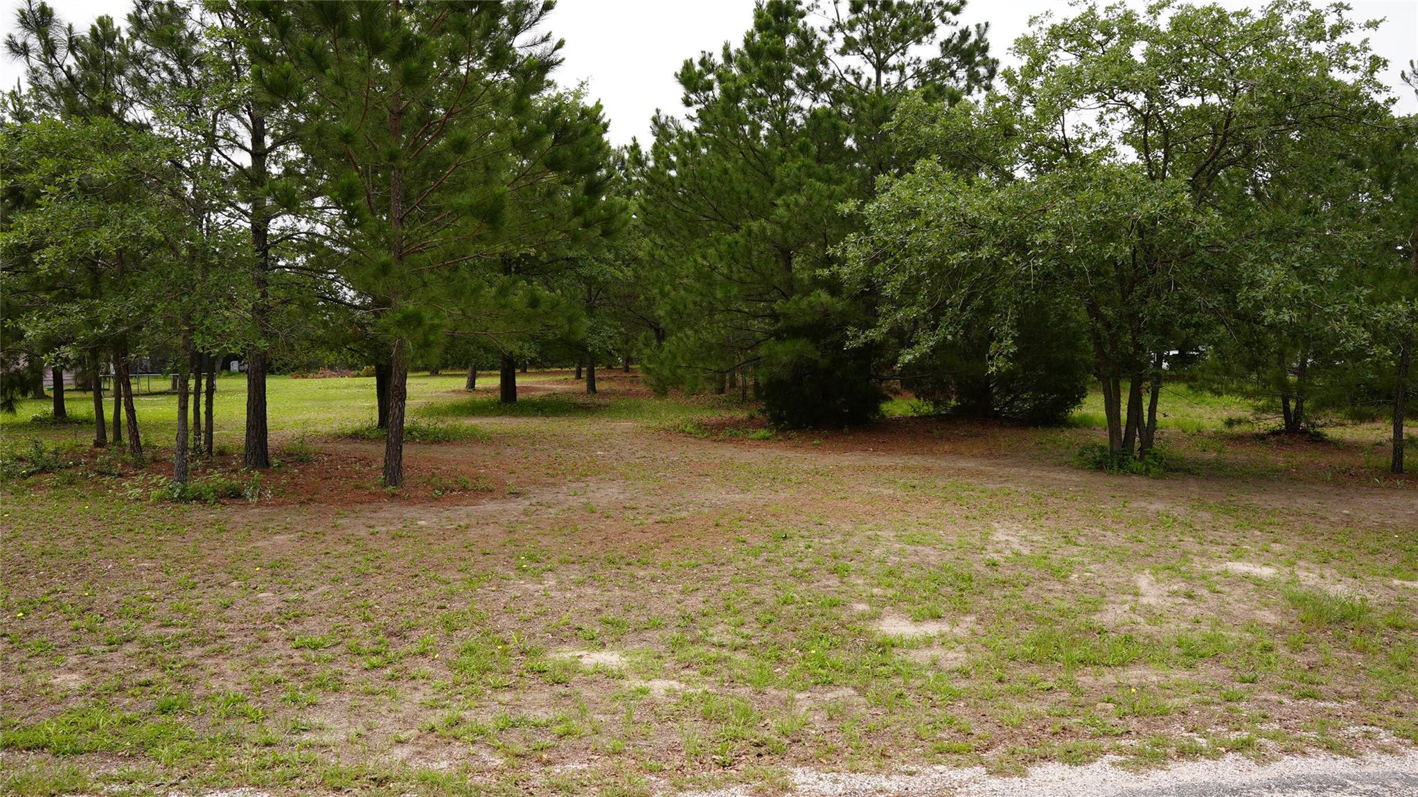 TBD Buckhorn DR