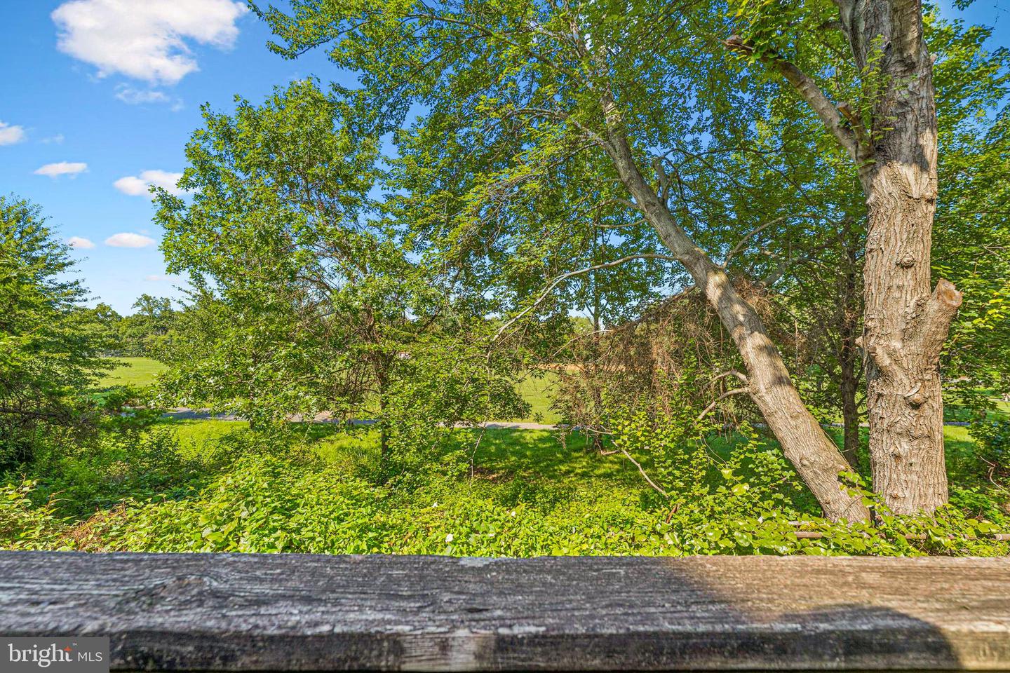 8536 BELLS RIDGE TER