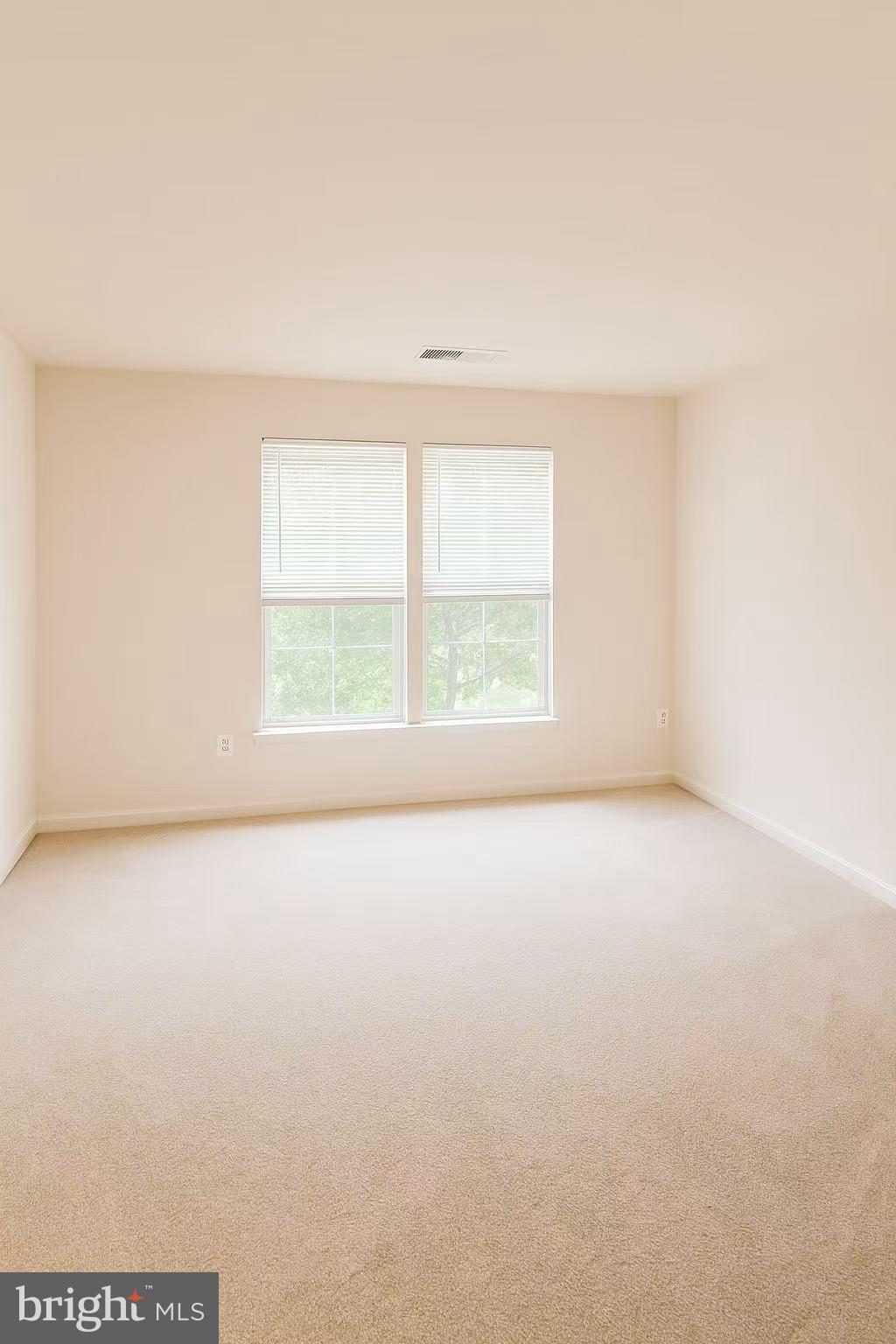 11321 AMBERLEA FARM DRIVE