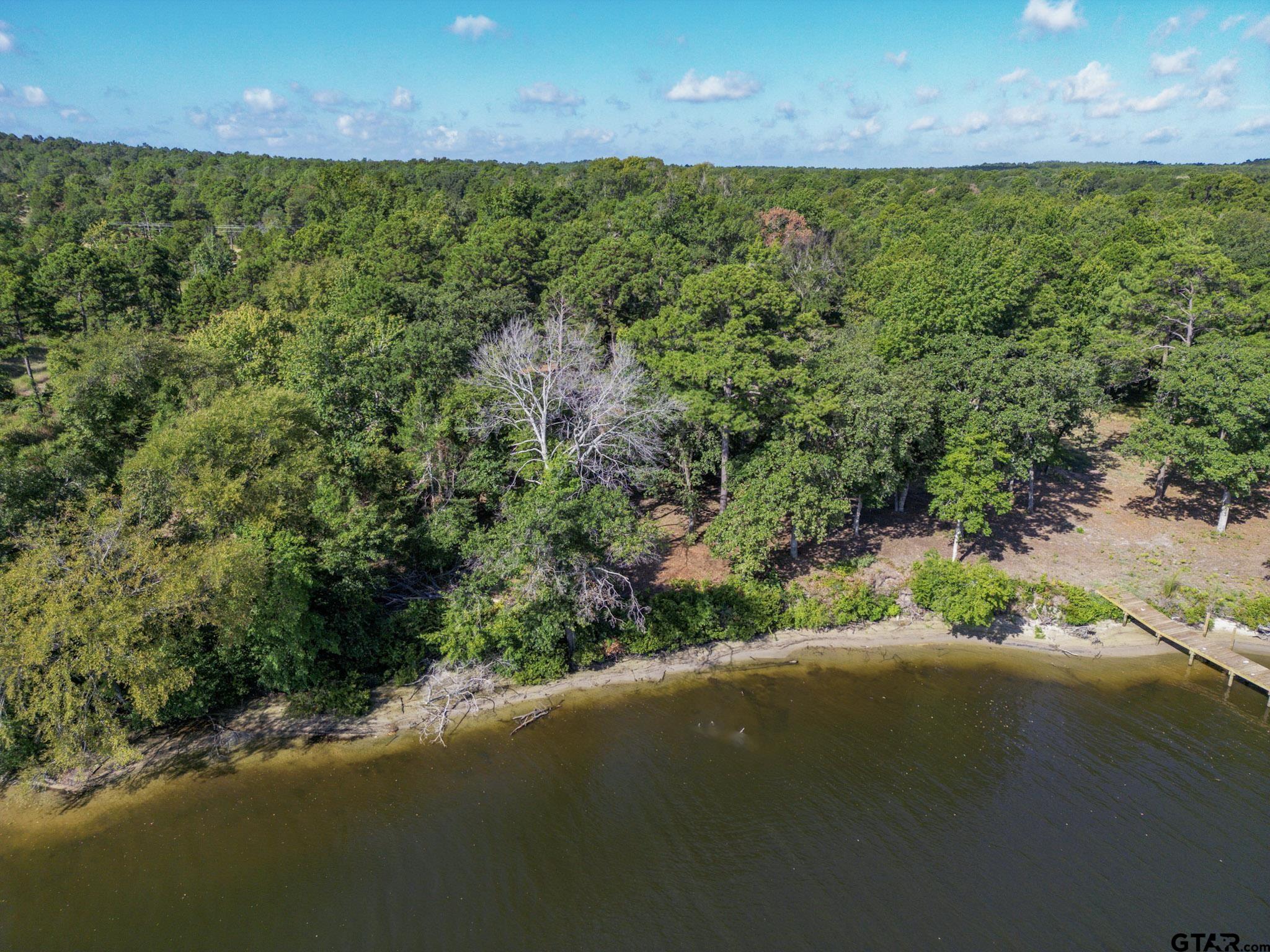 3146 Shadow Pine Dr.