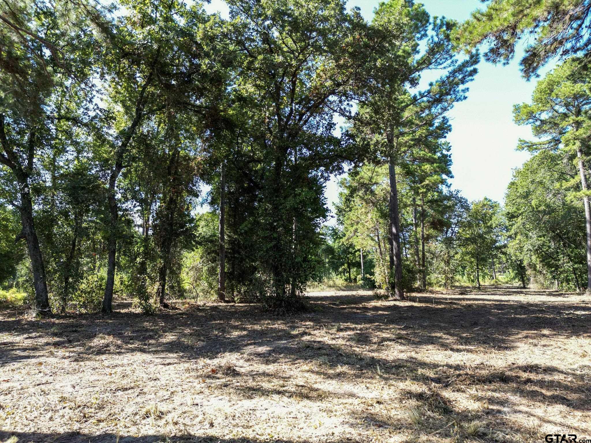 3146 Shadow Pine Dr.