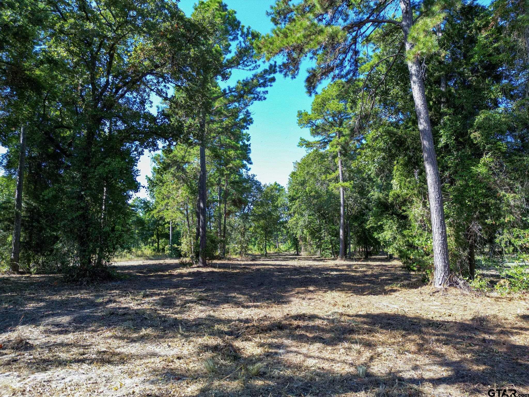 3146 Shadow Pine Dr.