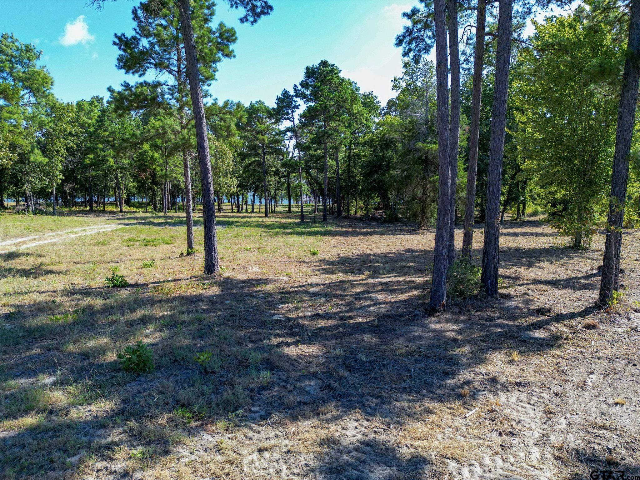 3146 Shadow Pine Dr.