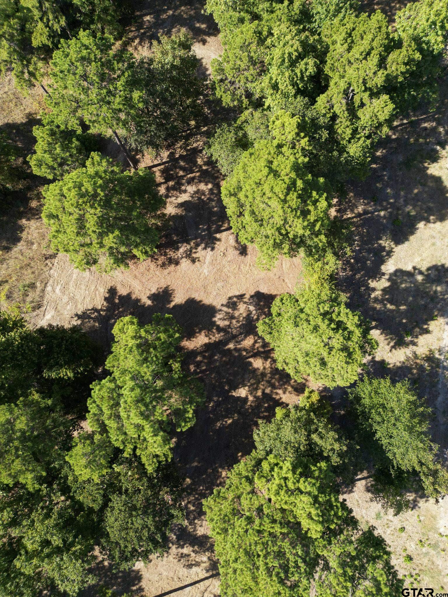 3146 Shadow Pine Dr.