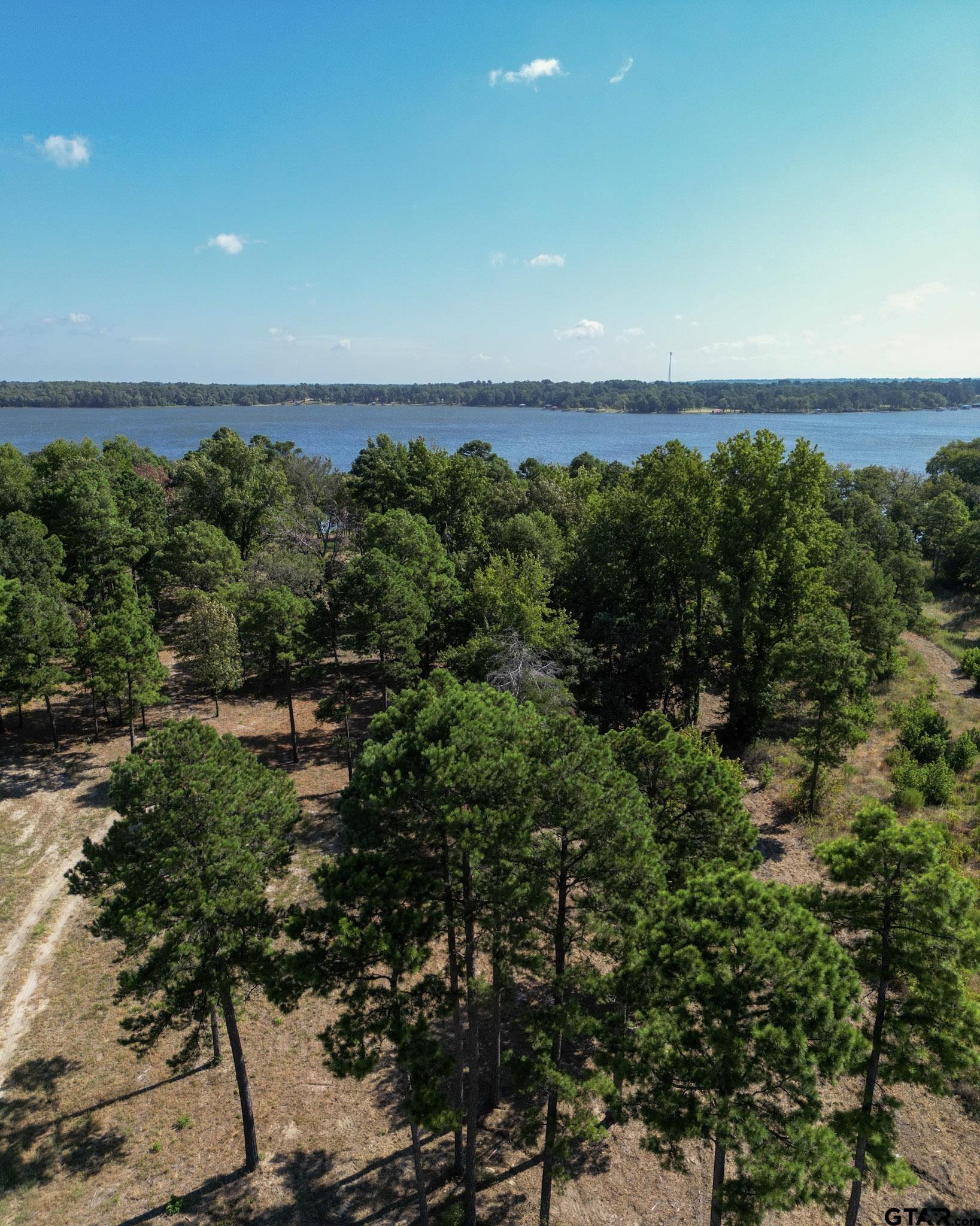 3146 Shadow Pine Dr.