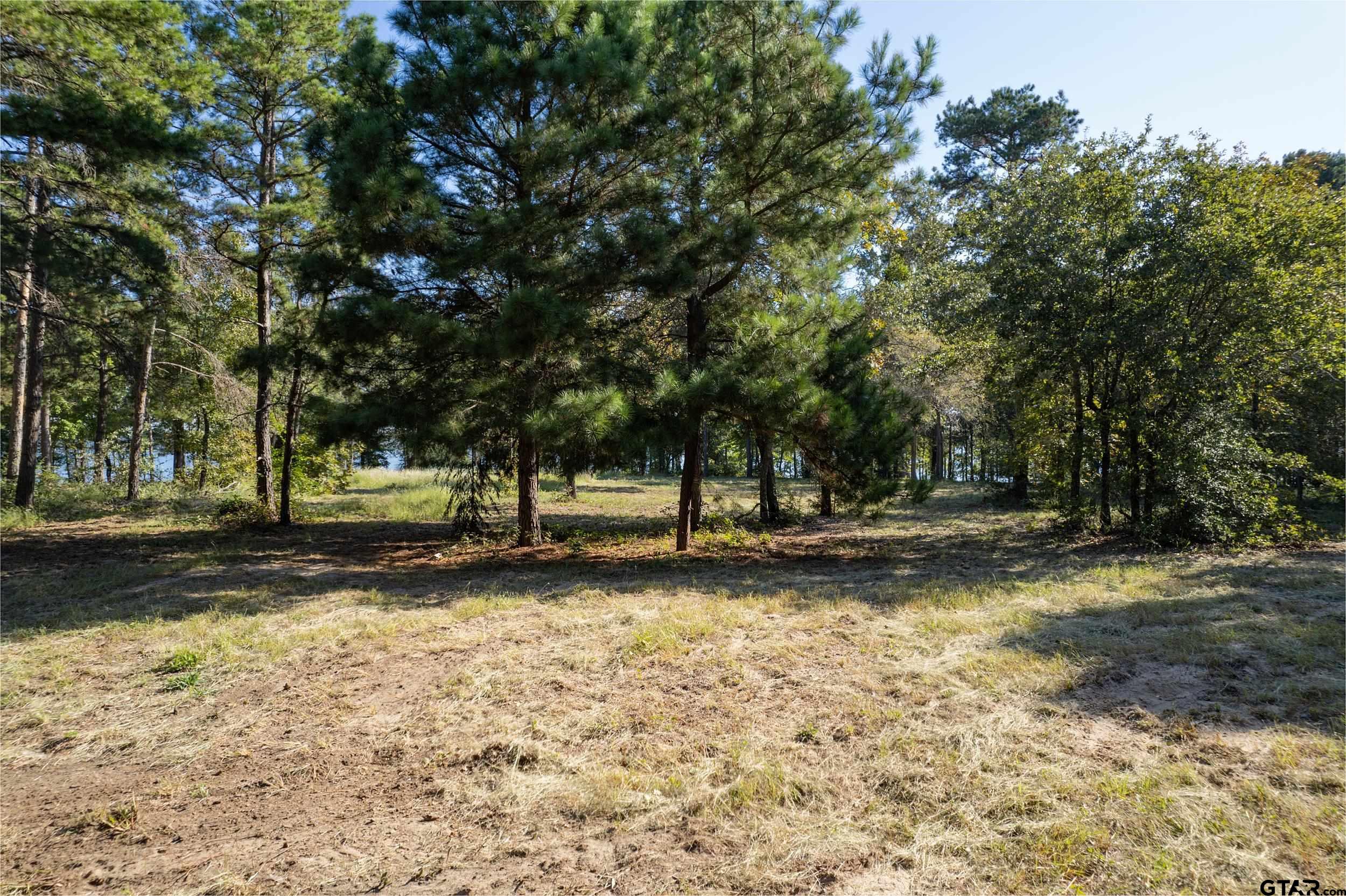 3110 Shadow Pine Dr Lot 5