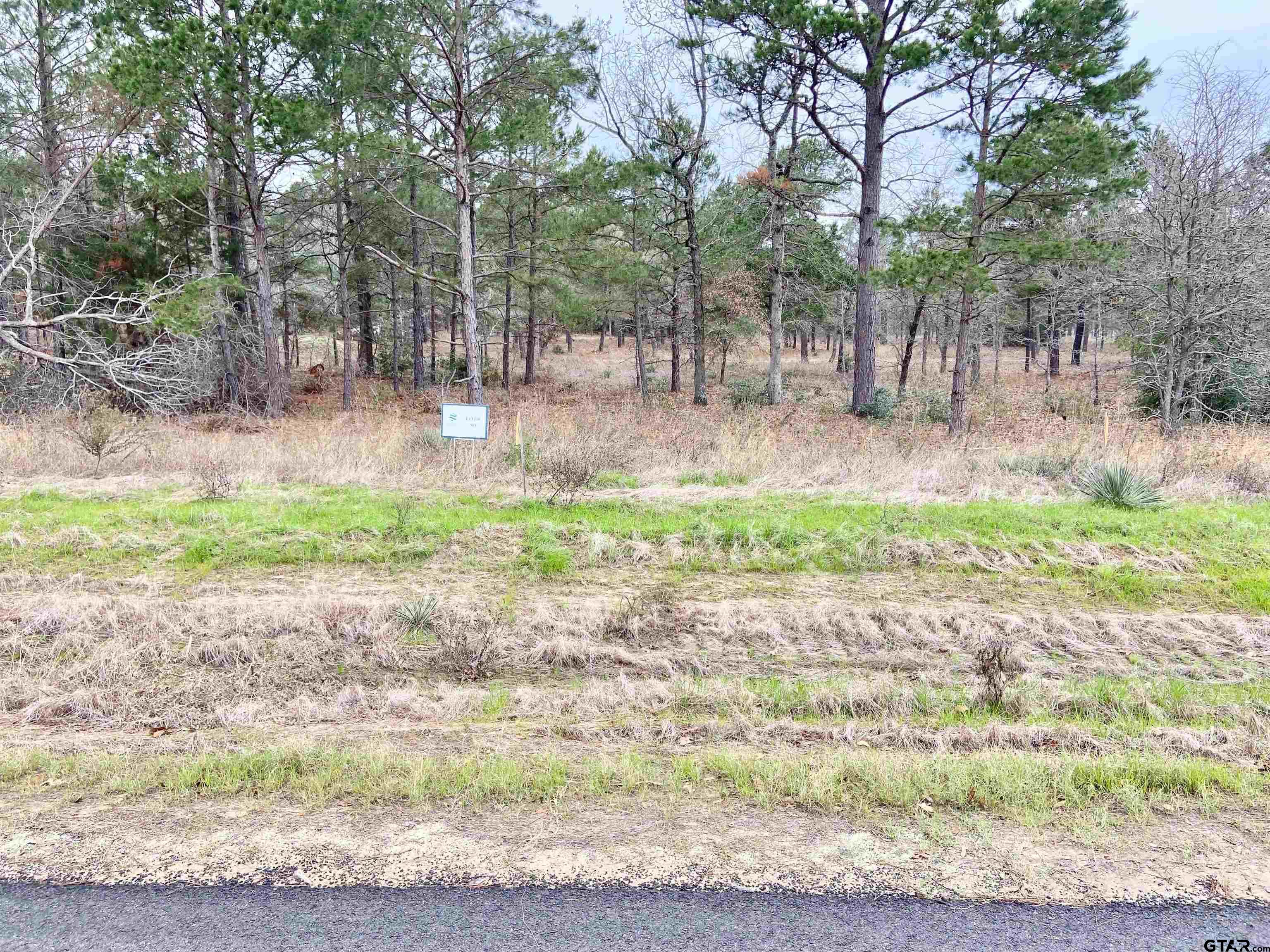 3729 Pine Wood Way LOTS 80 & L18