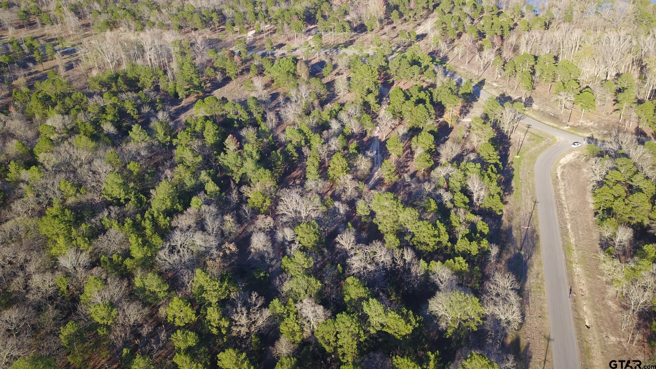 3729 Pine Wood Way LOTS 80 & L18