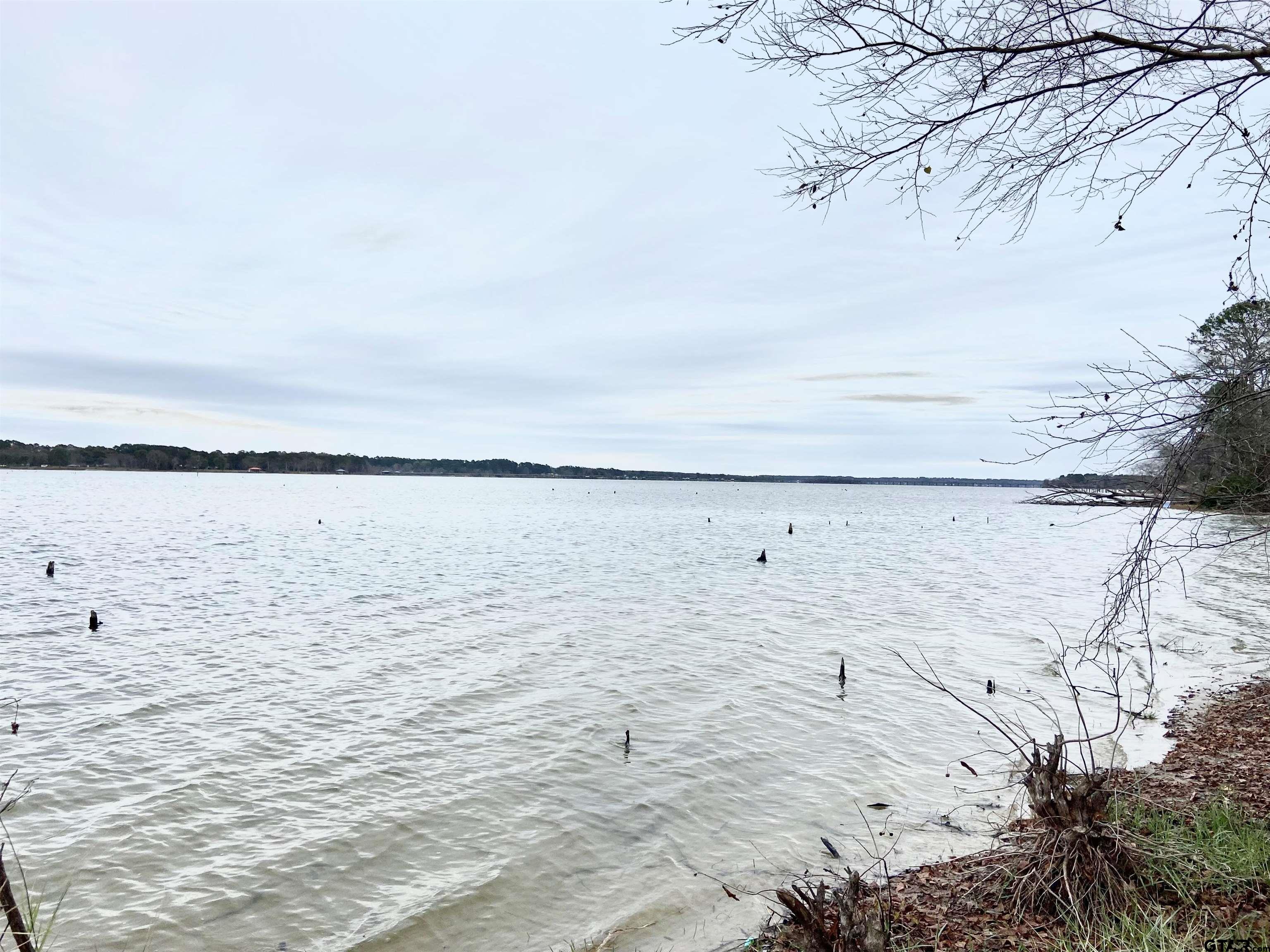 3729 Pine Wood Way LOTS 80 & L18