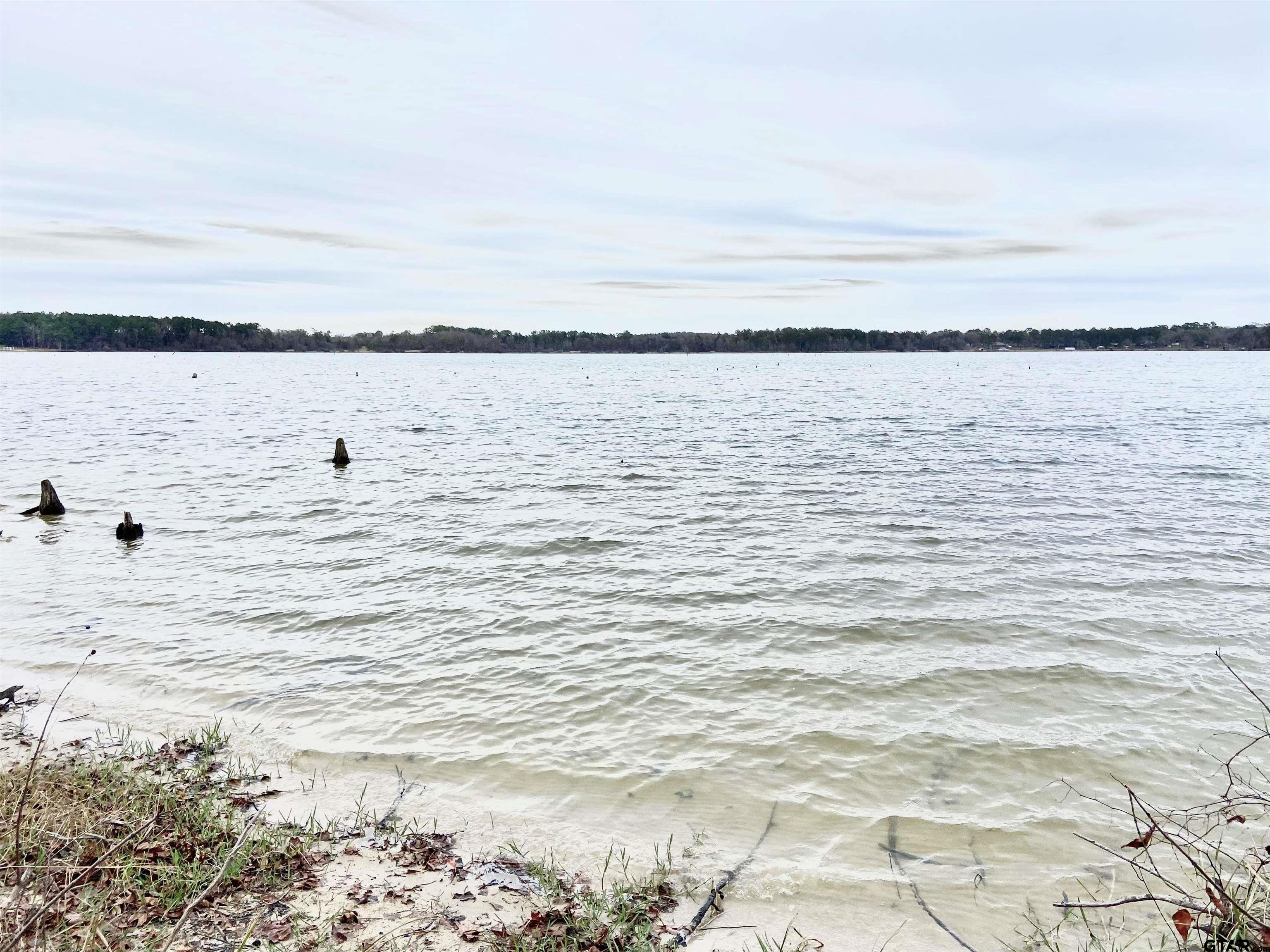 3729 Pine Wood Way LOTS 80 & L18