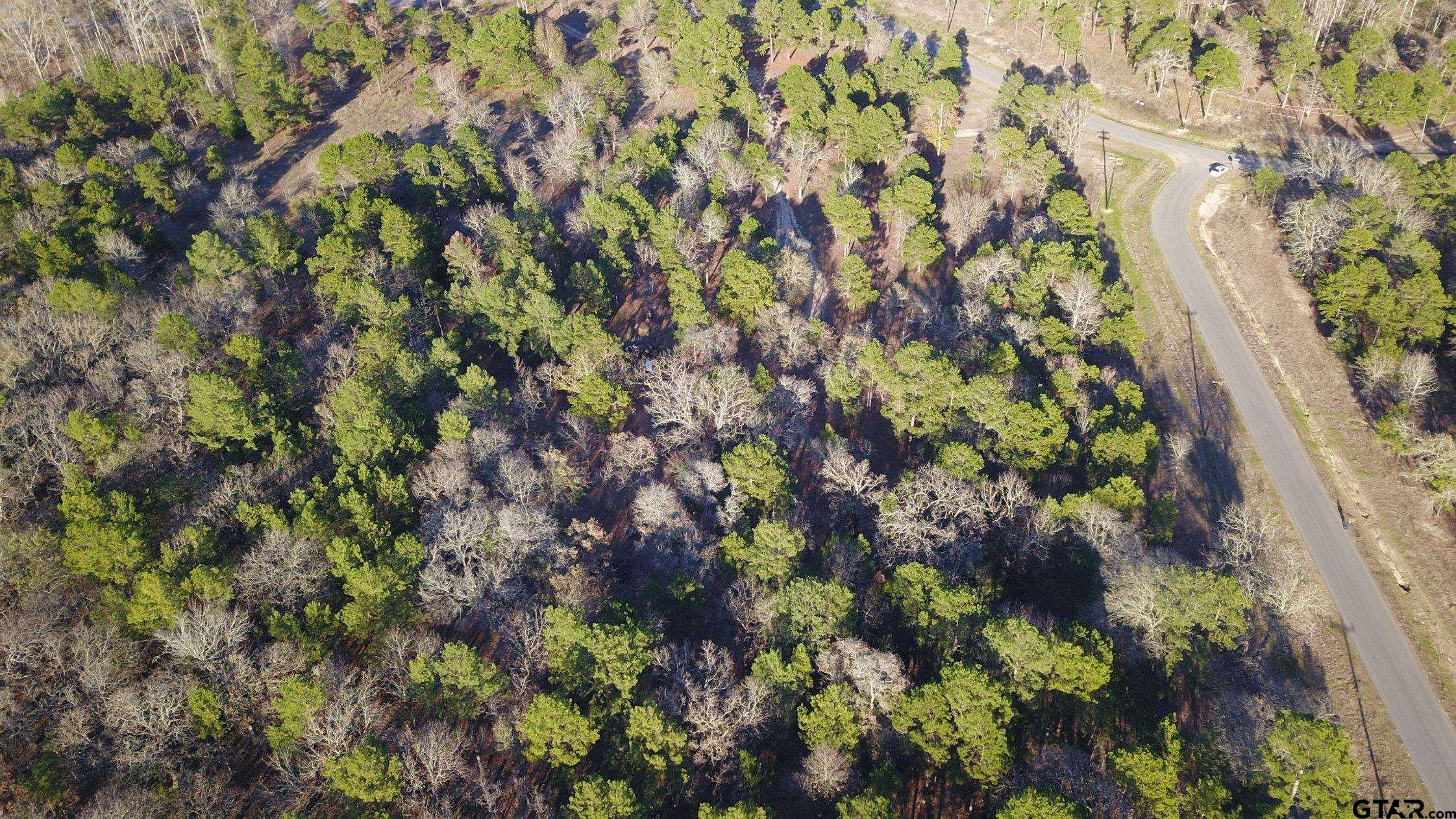 3729 Pine Wood Way LOTS 80 & L18