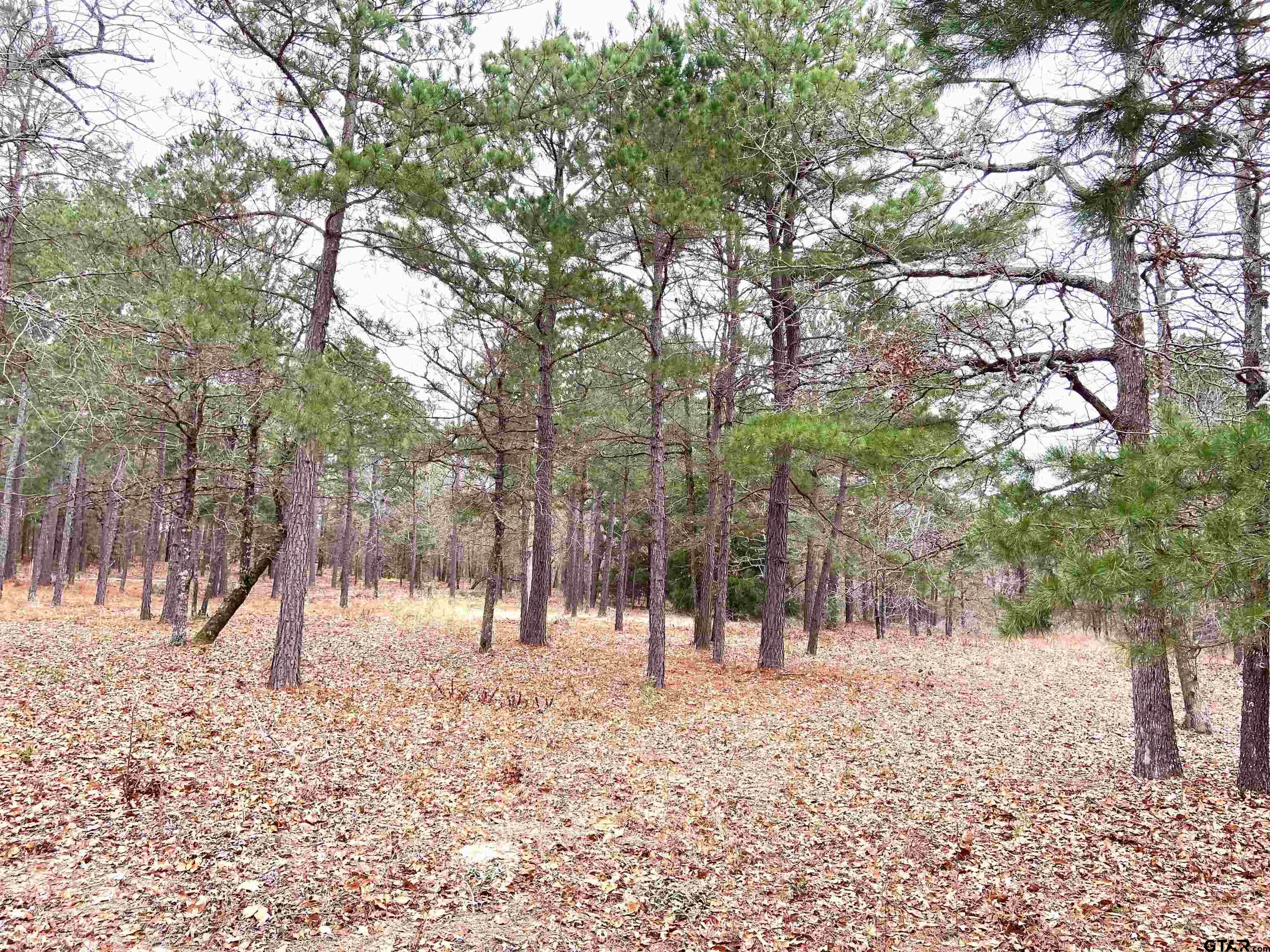 3729 Pine Wood Way LOTS 80 & L18