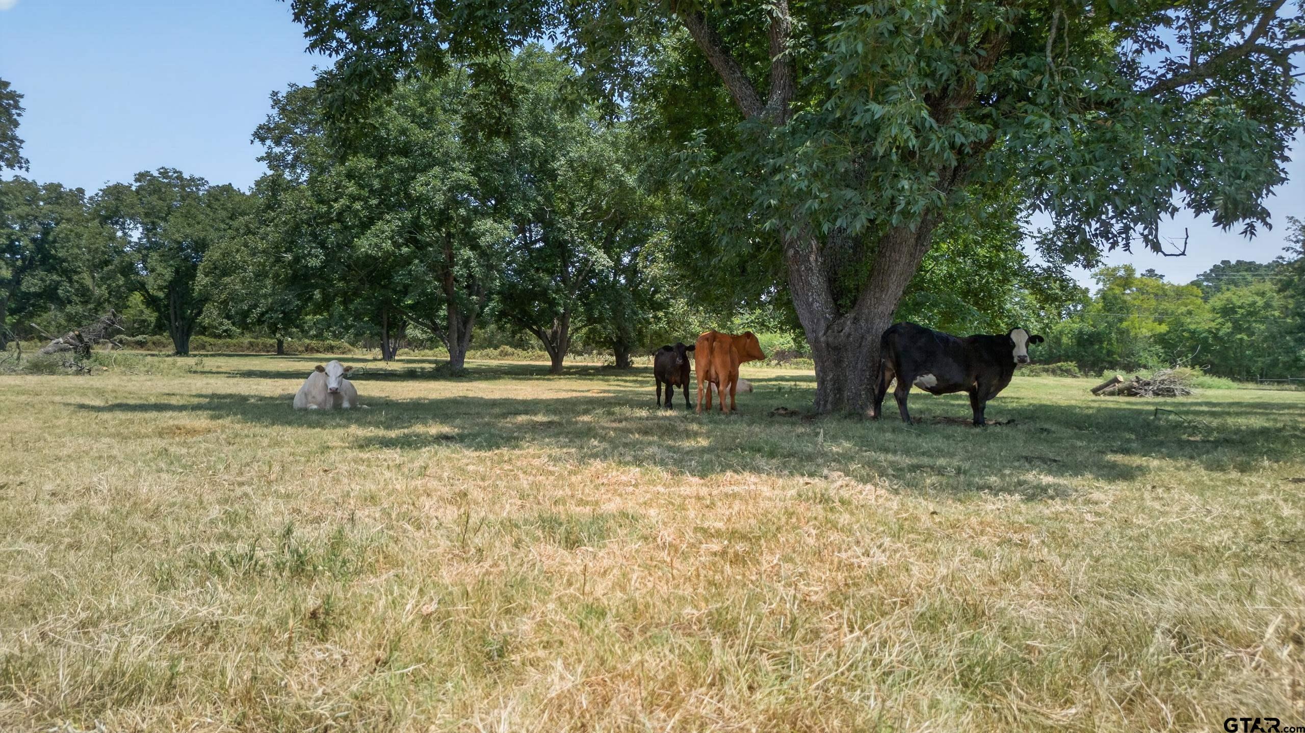 0 Hwy 155 & CR 435