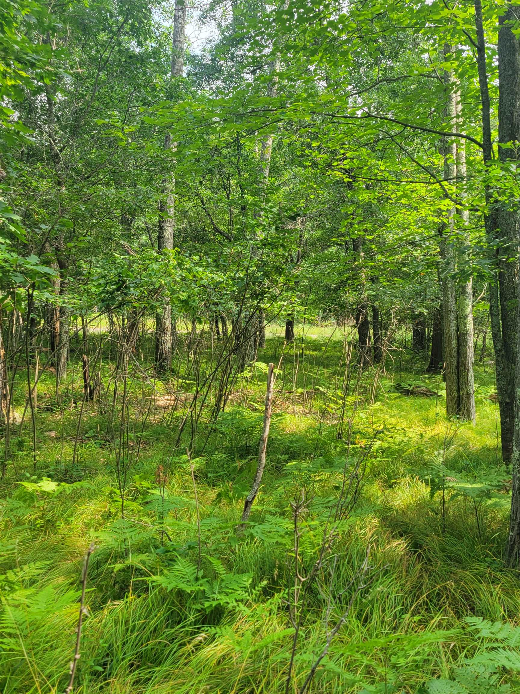 THORN LAKE Loop Unit: 25