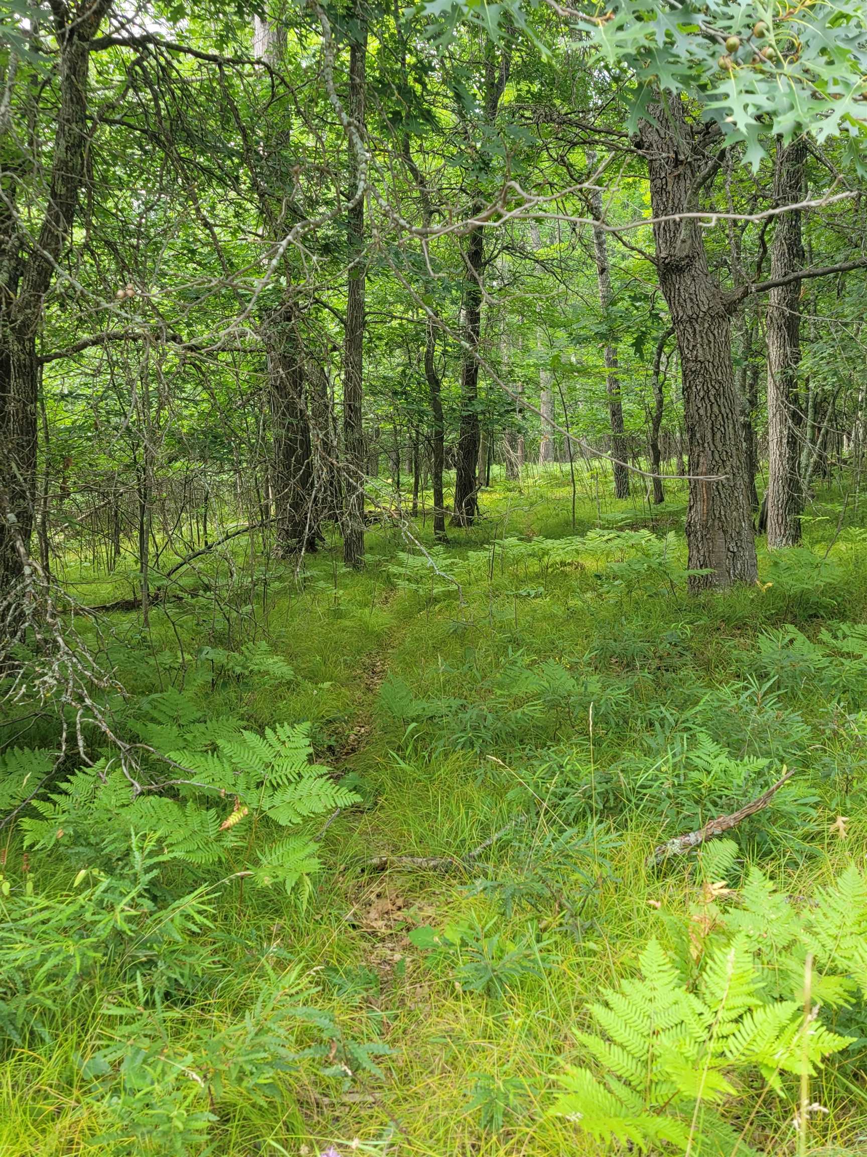 THORN LAKE Loop Unit: 25