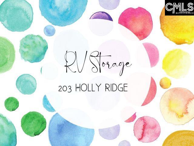 203 Holly Ridge Lane