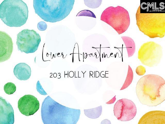 203 Holly Ridge Lane