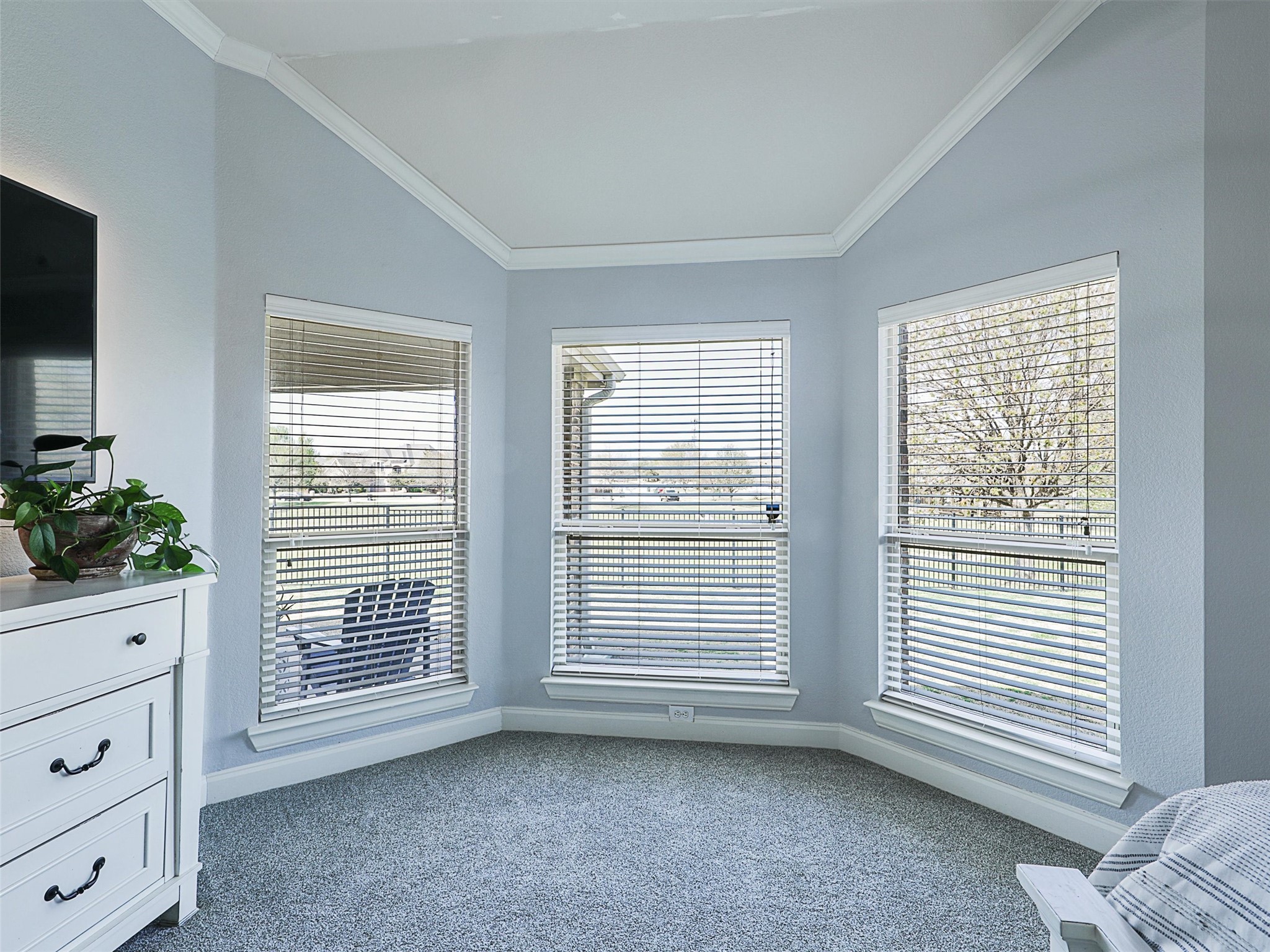 1741 Greenwood Court