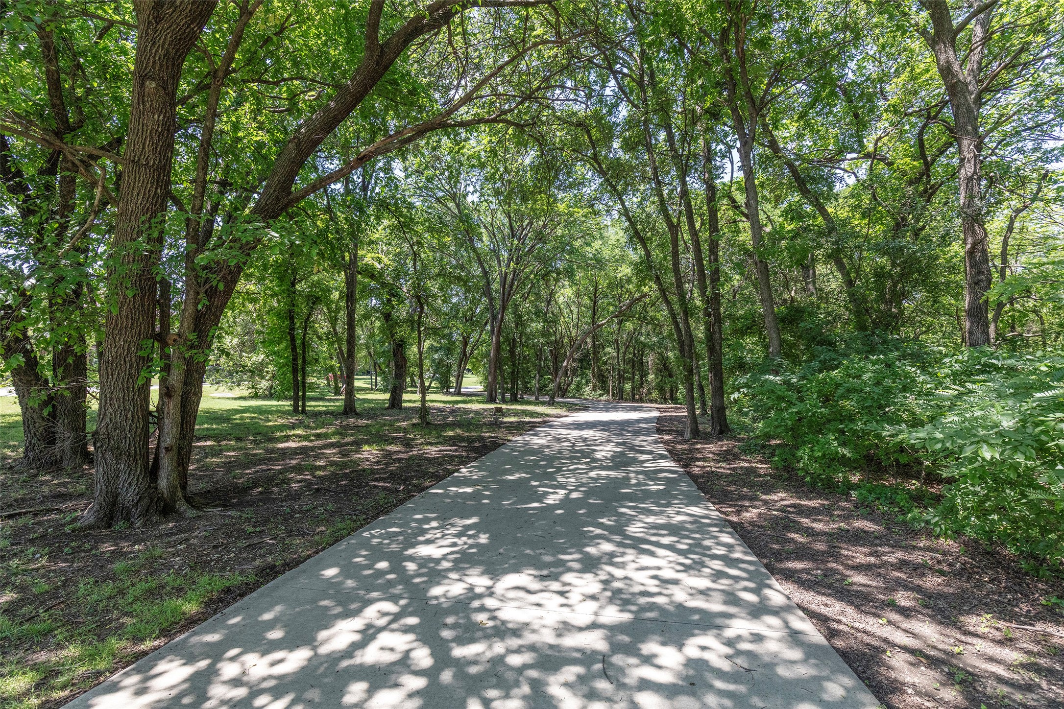 Paved path curving through mature trees and dense green foliage.