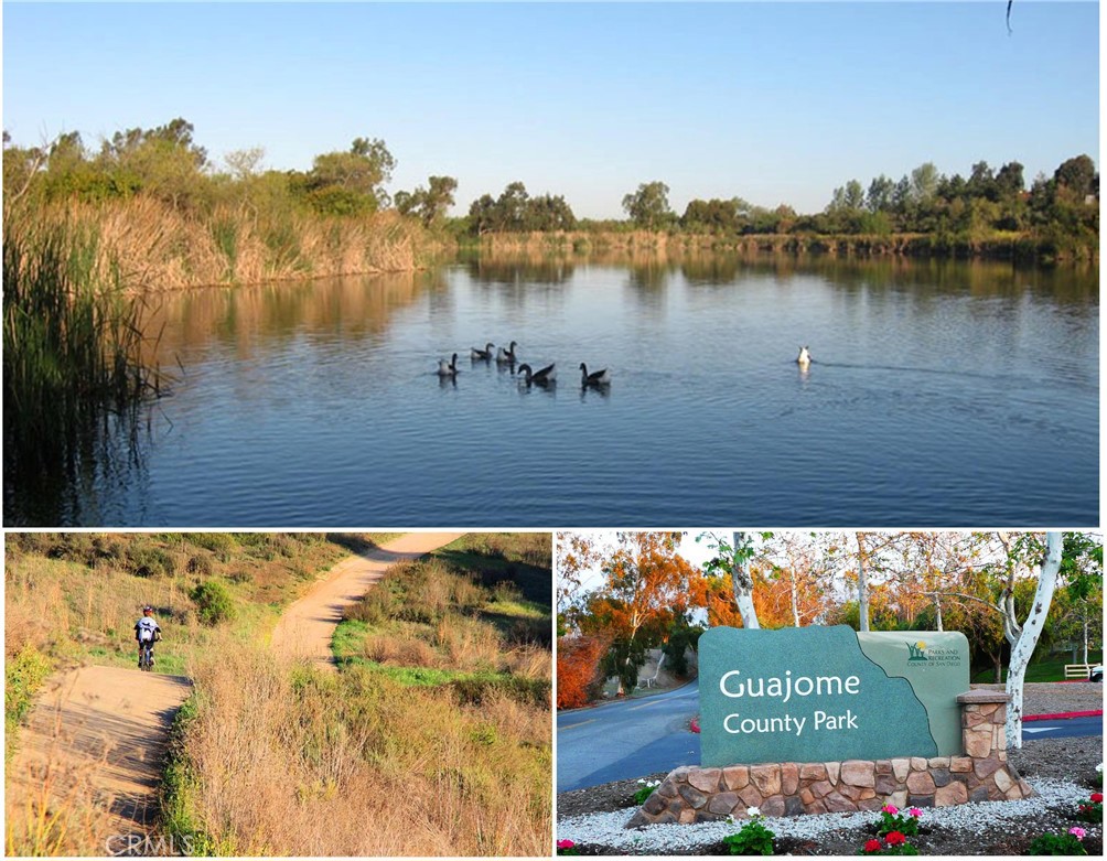 5572 Thoroughbred Street