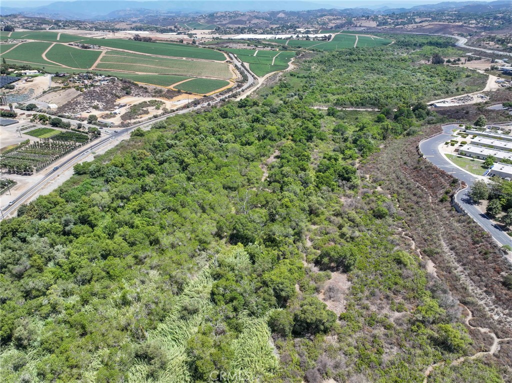 5572 Thoroughbred Street