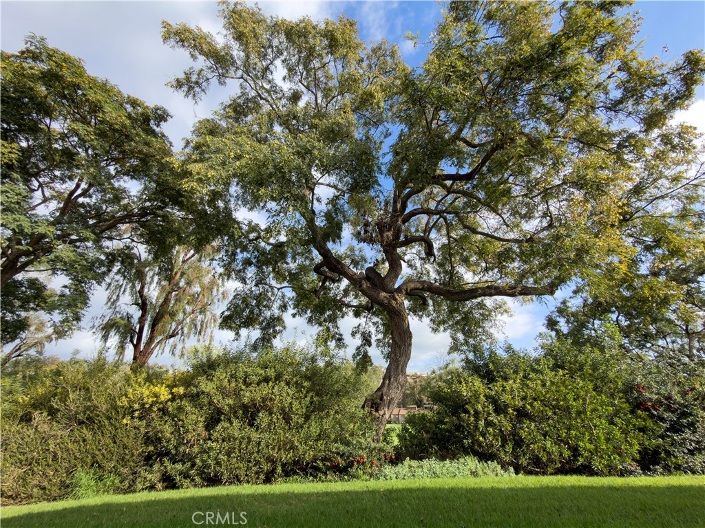 31216 W Nine Drive 15H